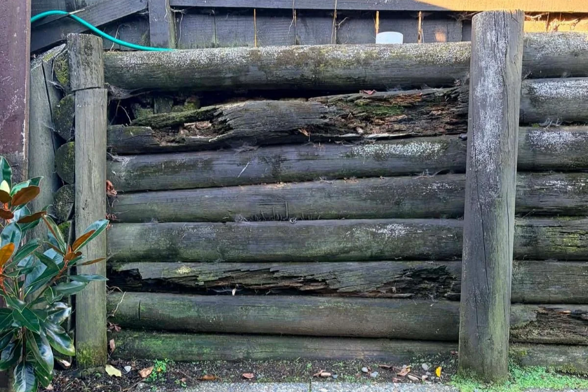 Rotten retaining wall boards in Howick requiring replacement and repair