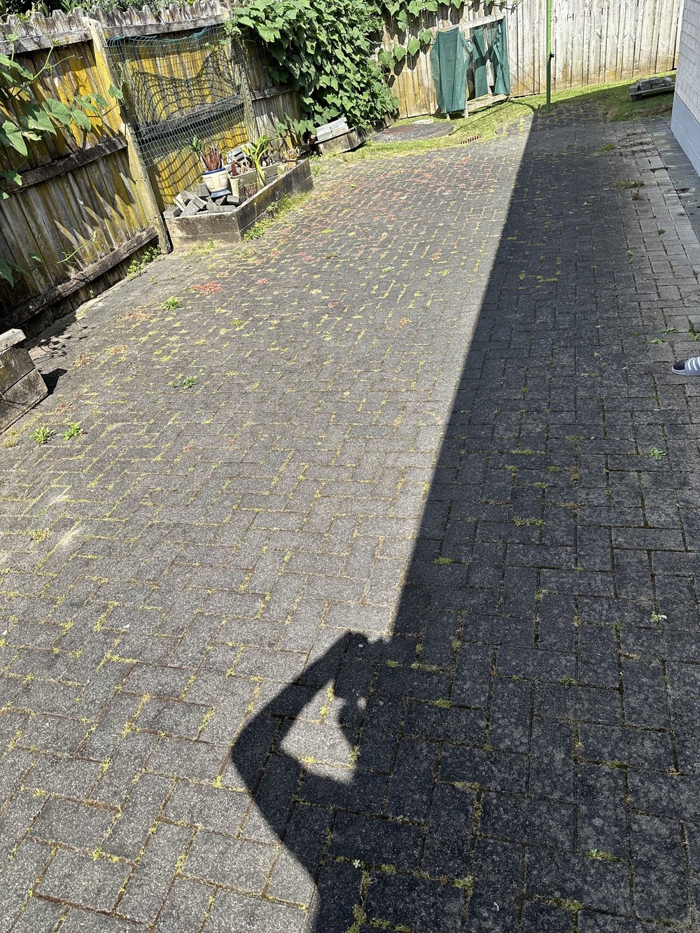 Courtyard paving covered with weeds before water blasting and joint restoration in Golflands