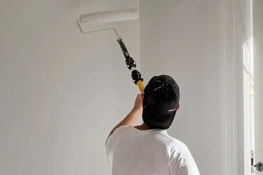 Painting & Plastering