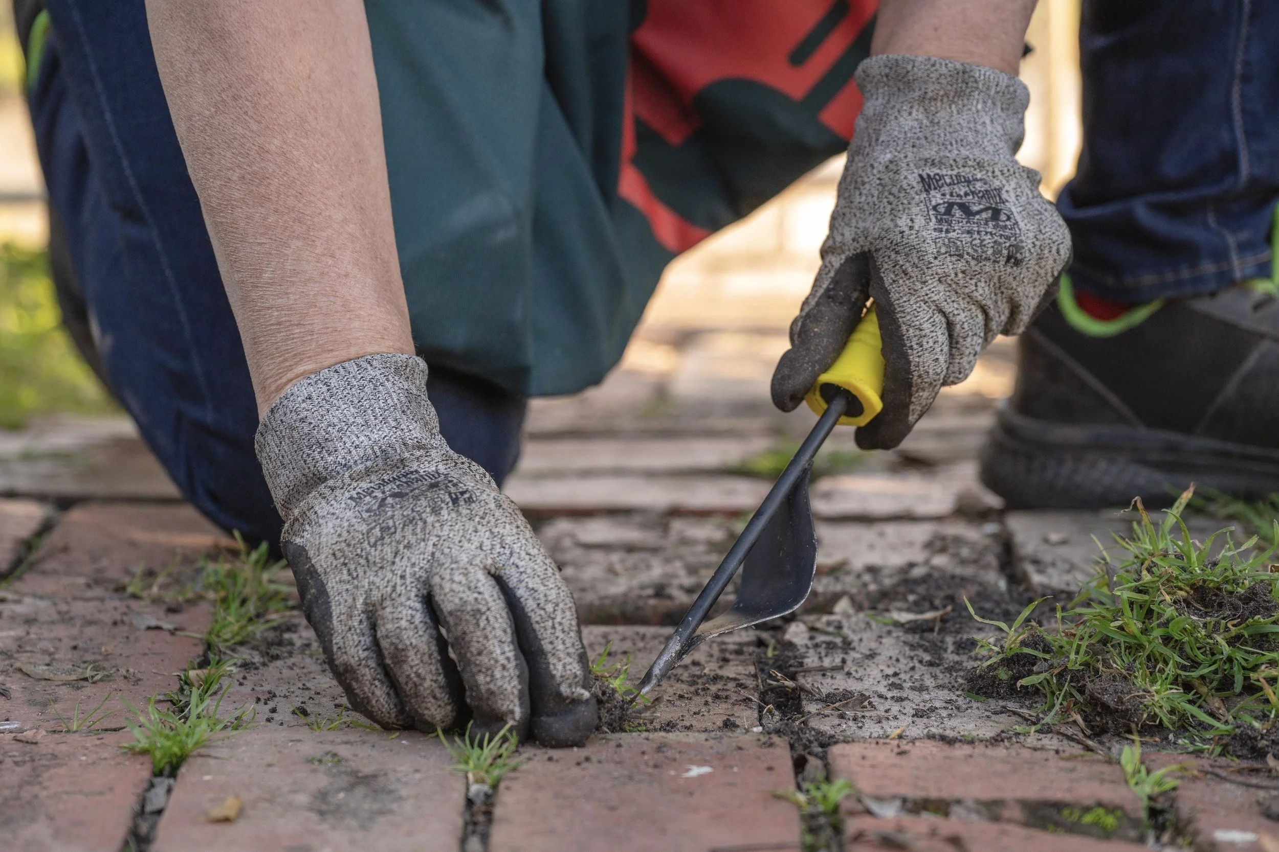Handyman Shelly Beach removing weeds and restoring paving at a residential property