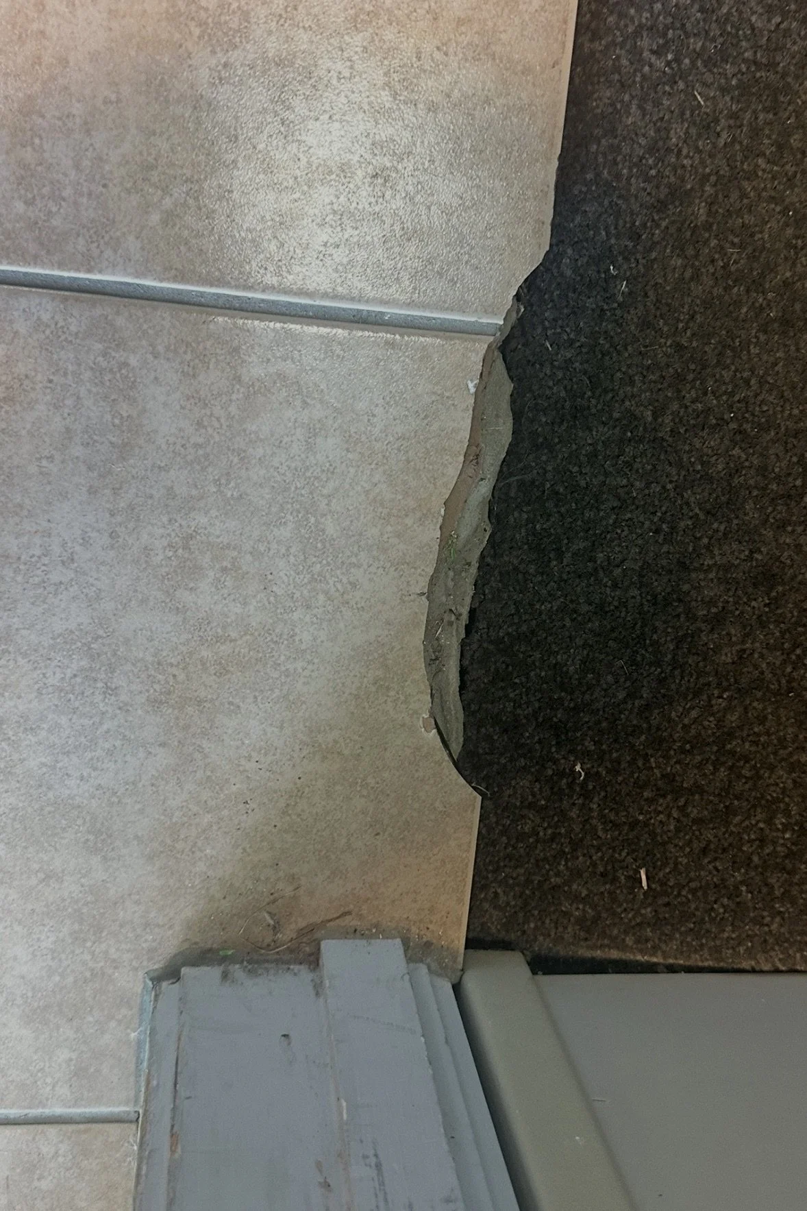 Cracked and chipped floor tile at a commercial building entrance requiring professional tile repair in Auckland.