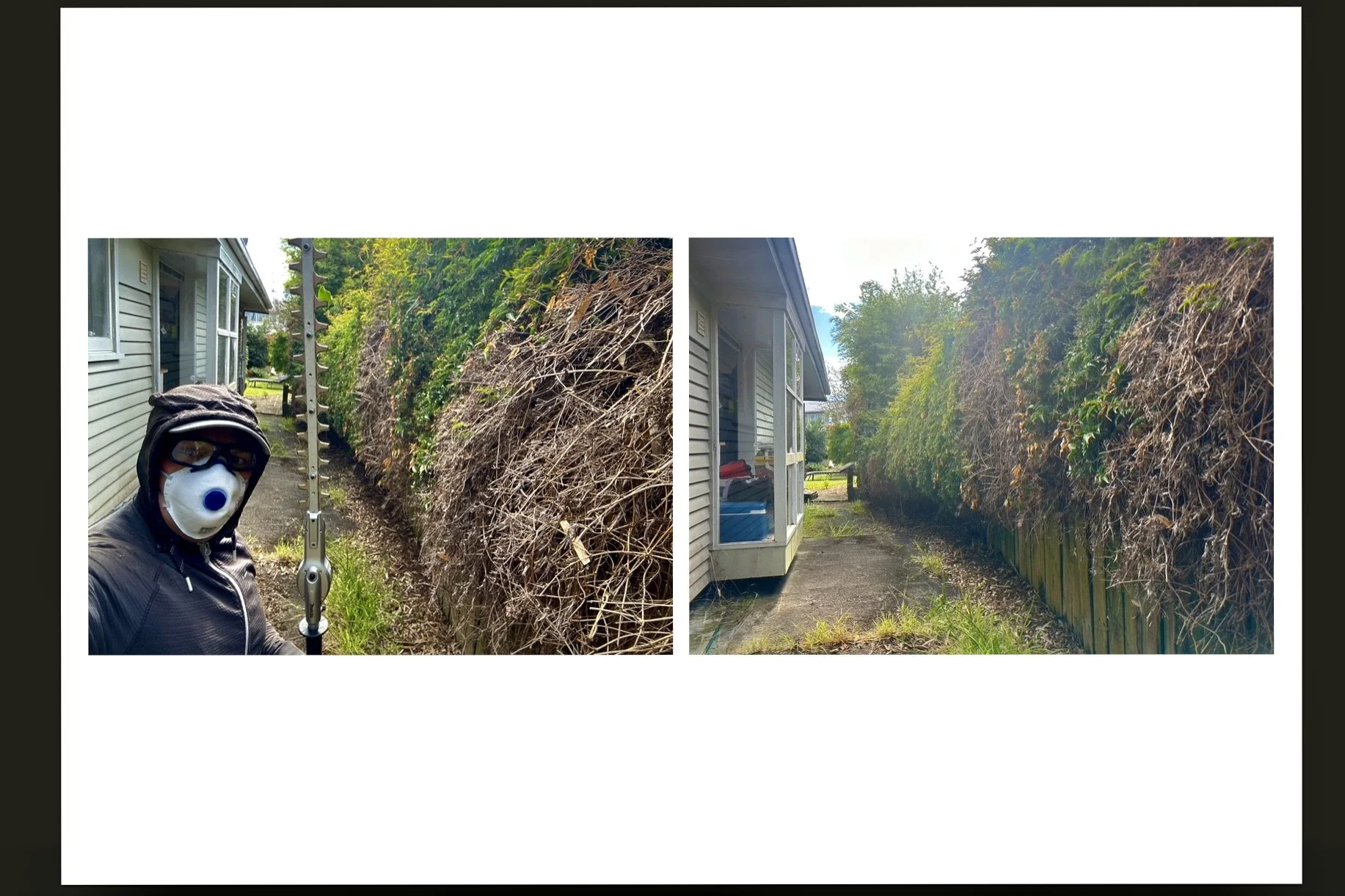 Hedge Trimming & Garden Clean-Up 🌿✂️
Before & after professional hedge trimming, tree pruning and full yard clean-up service in Auckland. Overgrown bushes and messy outdoor areas transformed into a neat, clean and well-shaped garden using profession