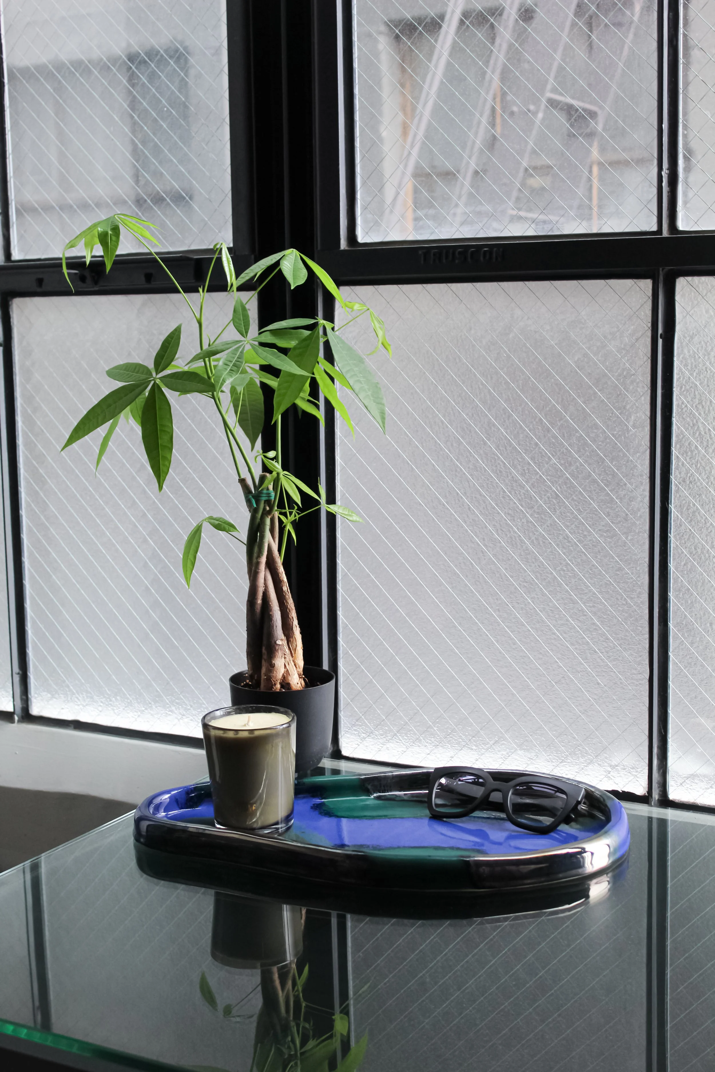 3 color tray with money tree.jpg