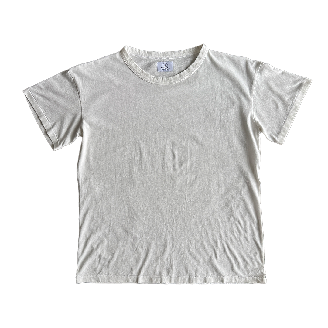 Circadian Ghost