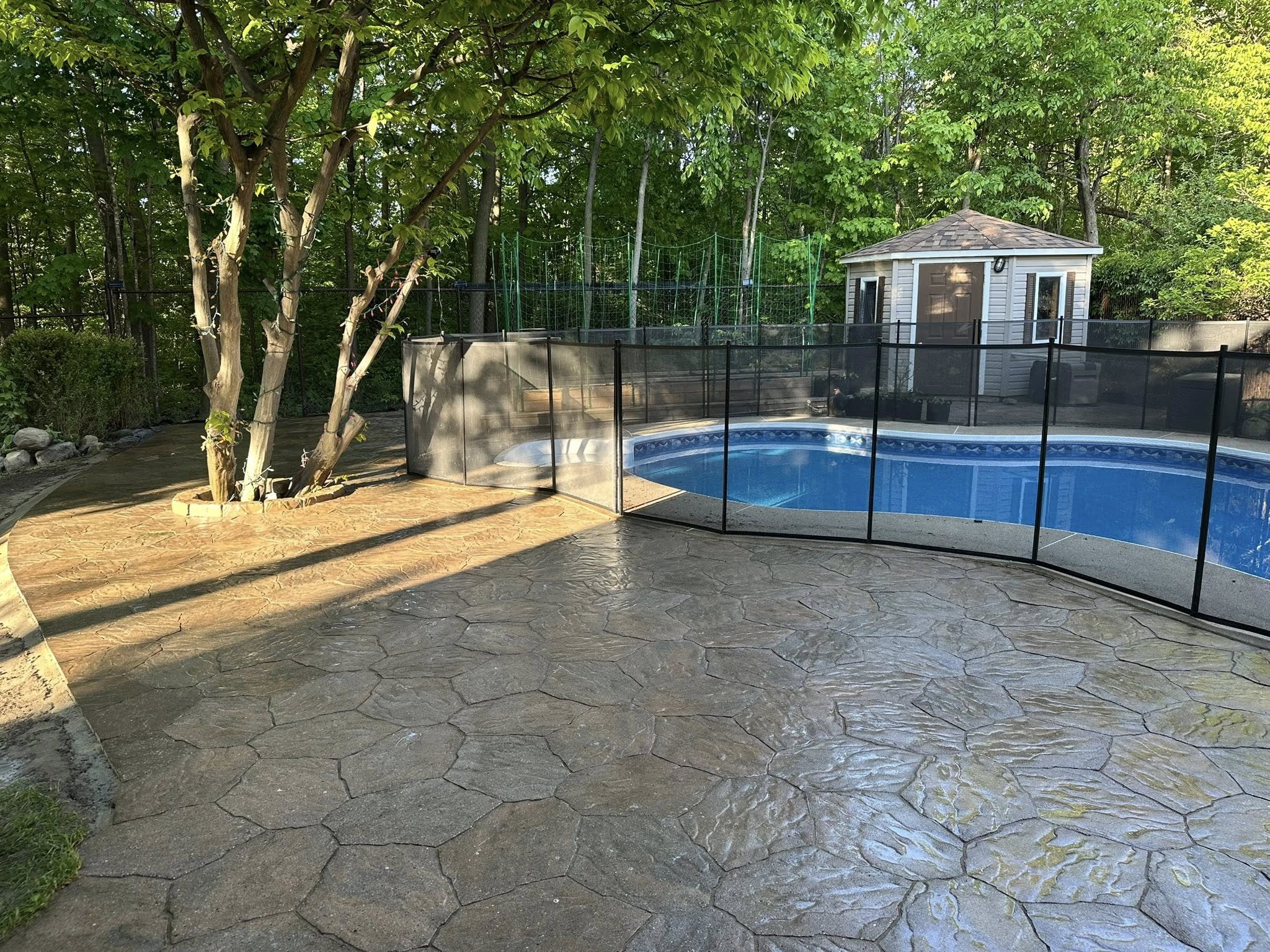 michel backyard.jpeg