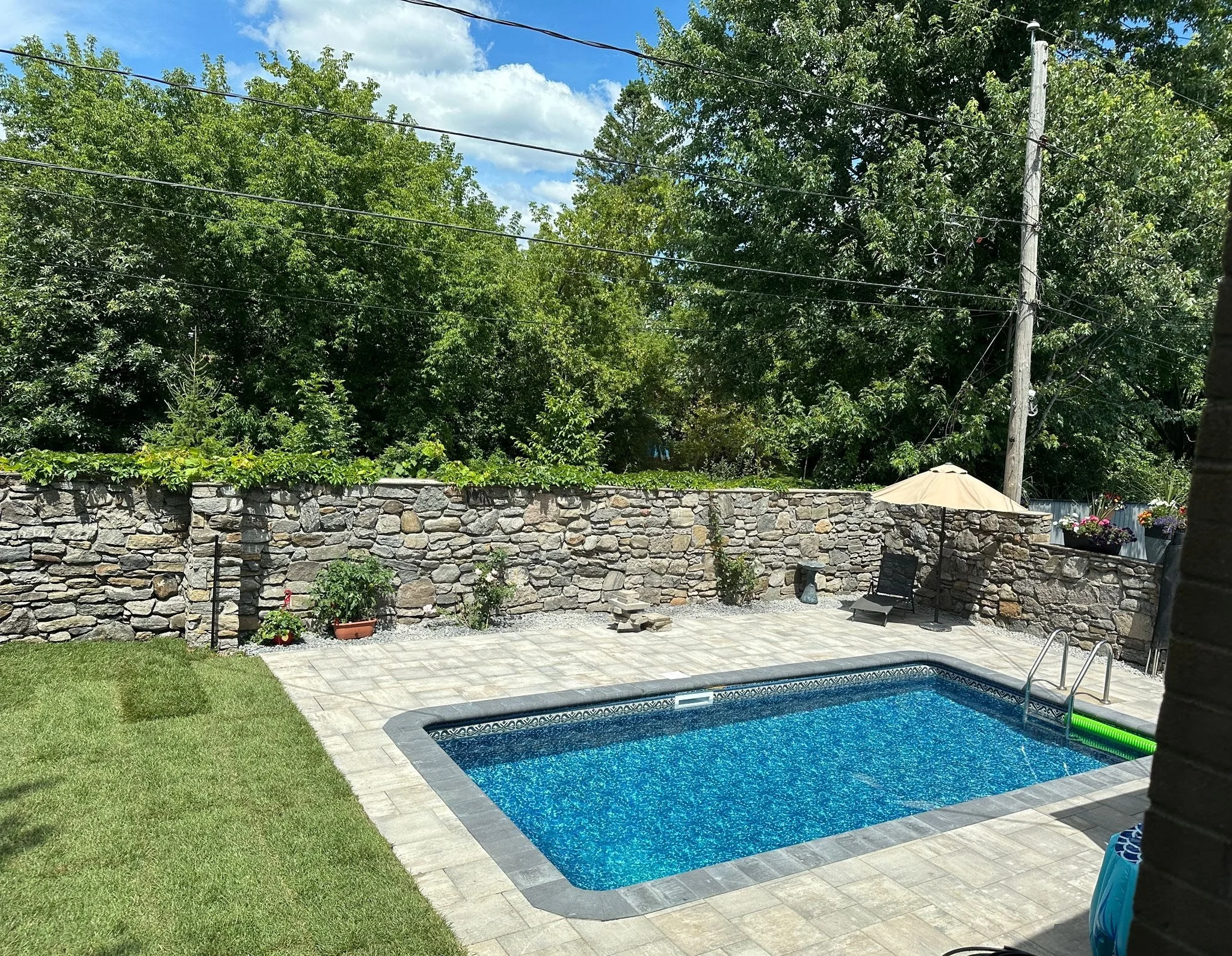 monzer pool.jpeg
