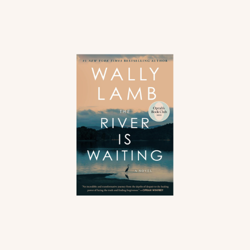 The River is Waiting Book
