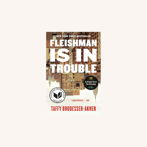 Fleishman is in Trouble Novel