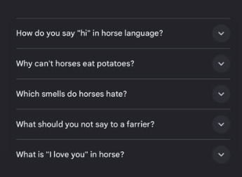 Google suggested searches related to horses and horse diving