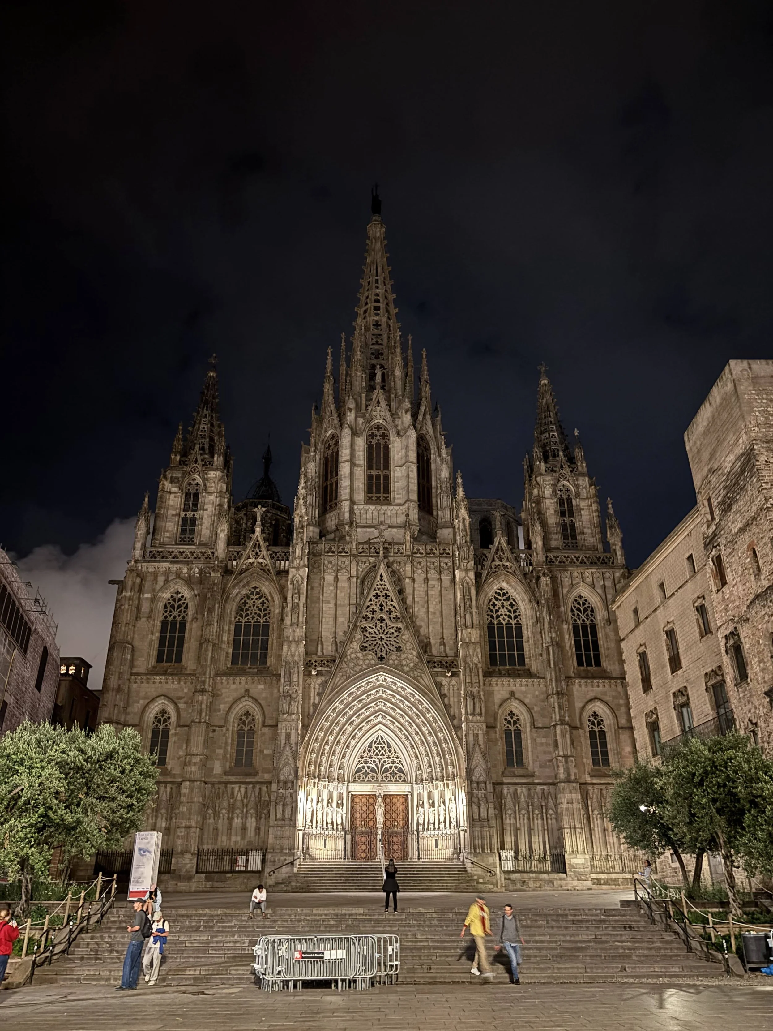 Cathedral of Barcelona - Catedral de Barcelona