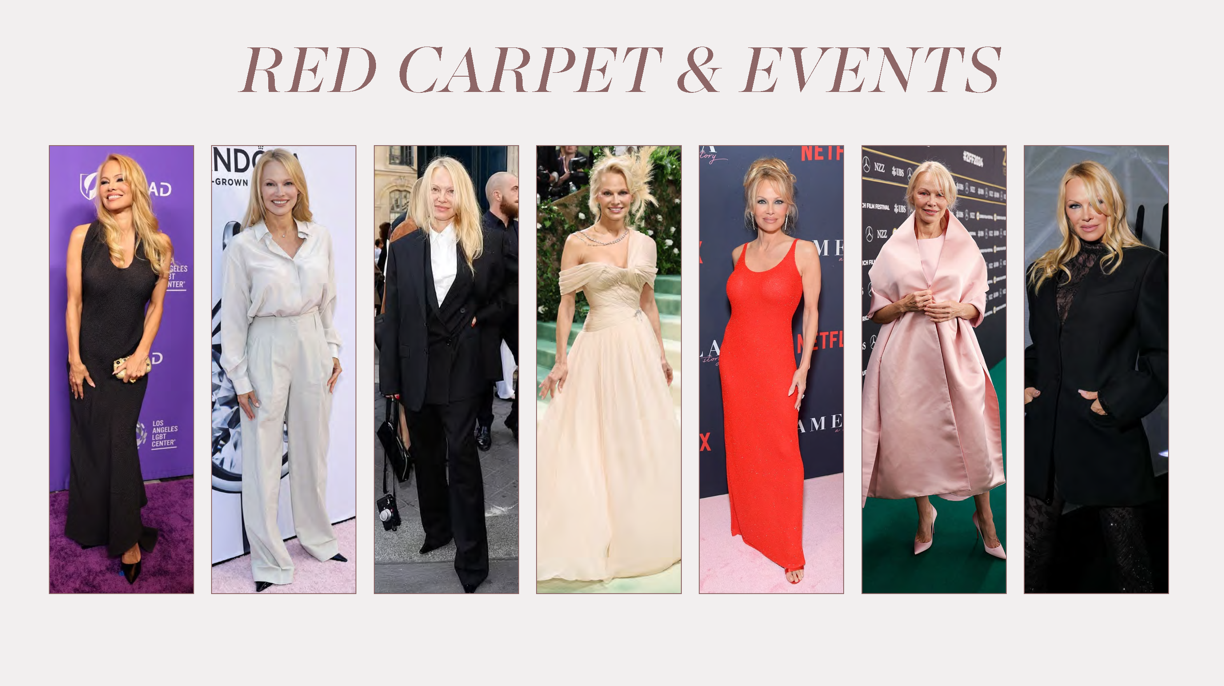 Pamela Anderson Deck October 2024_Page_14.png