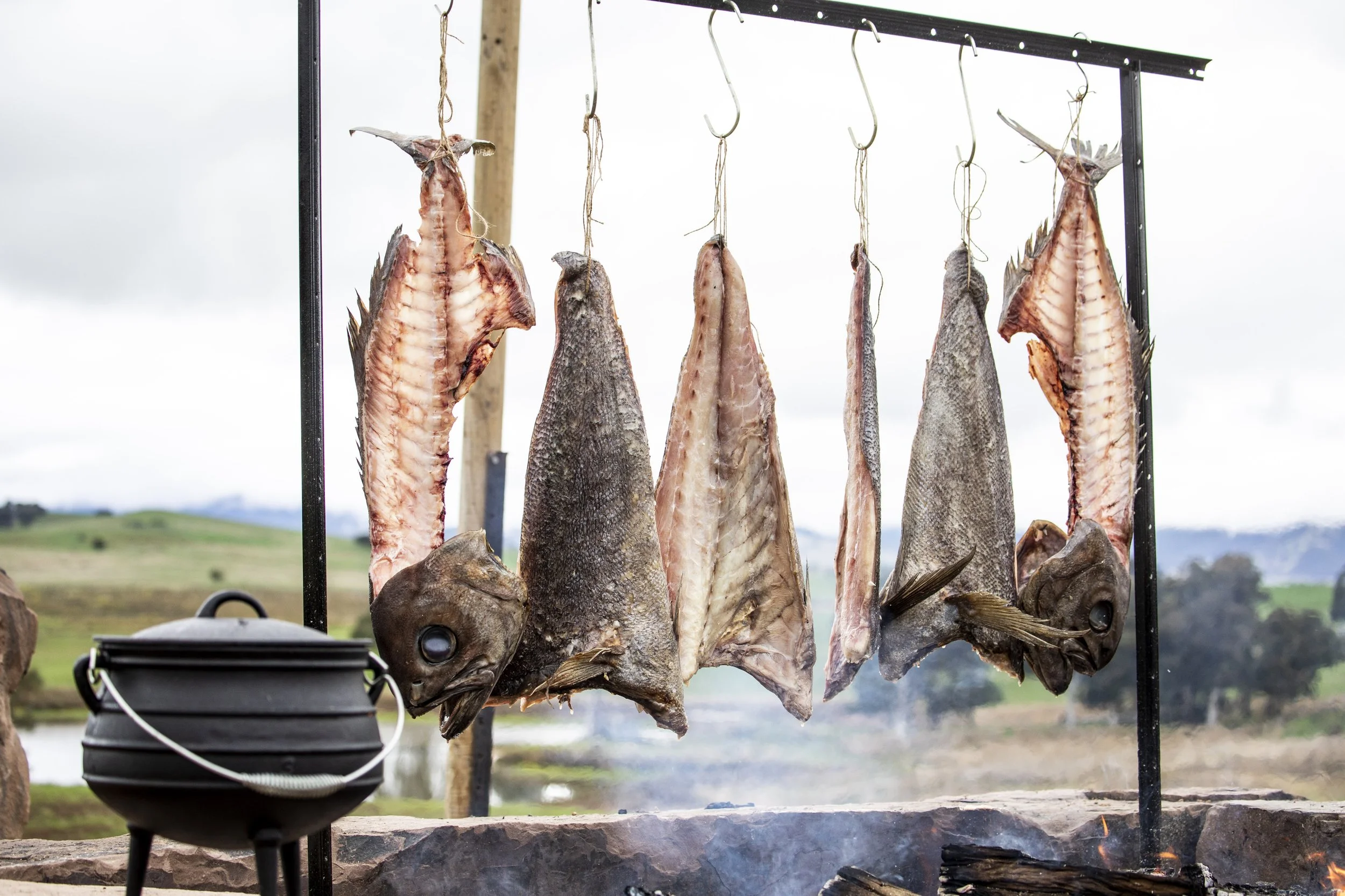 Harvest Moon Fest 22-1-47.jpeg