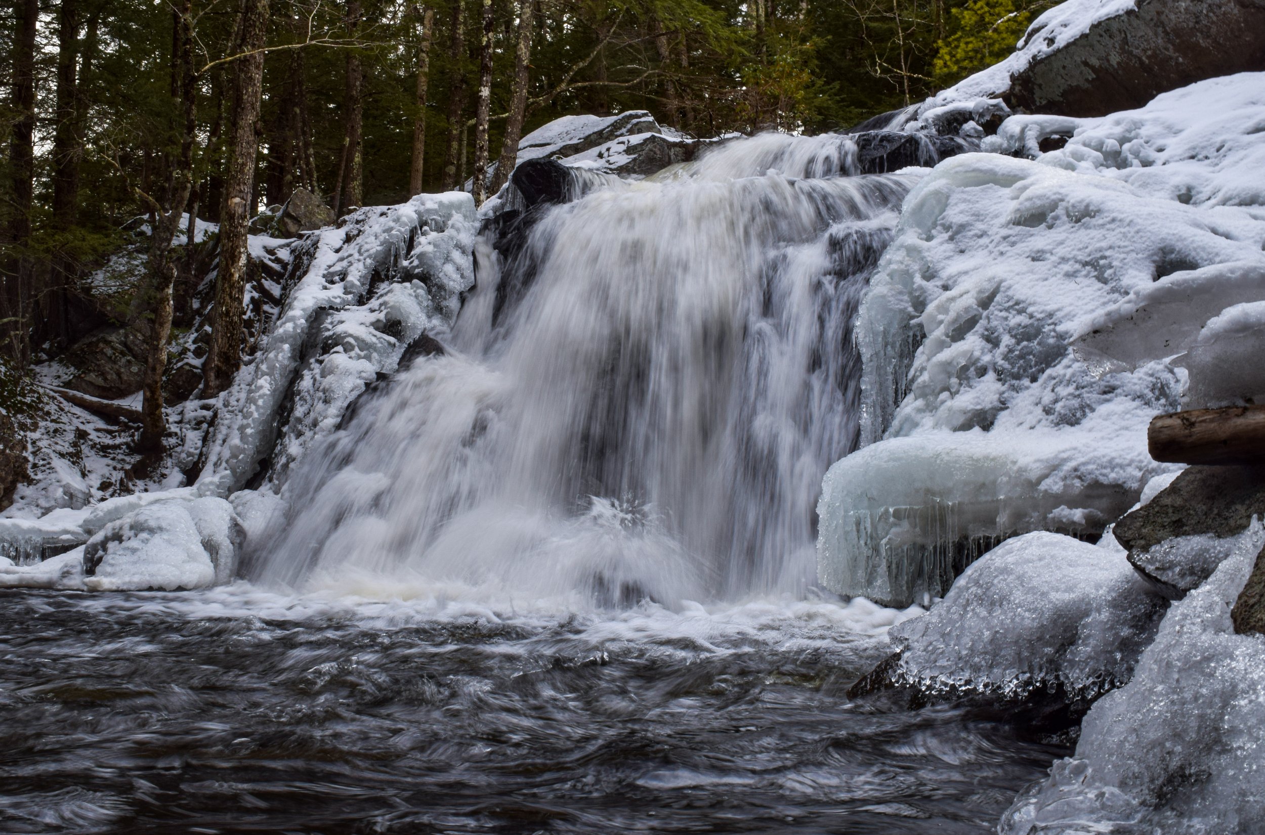 DSC_0764.jpg