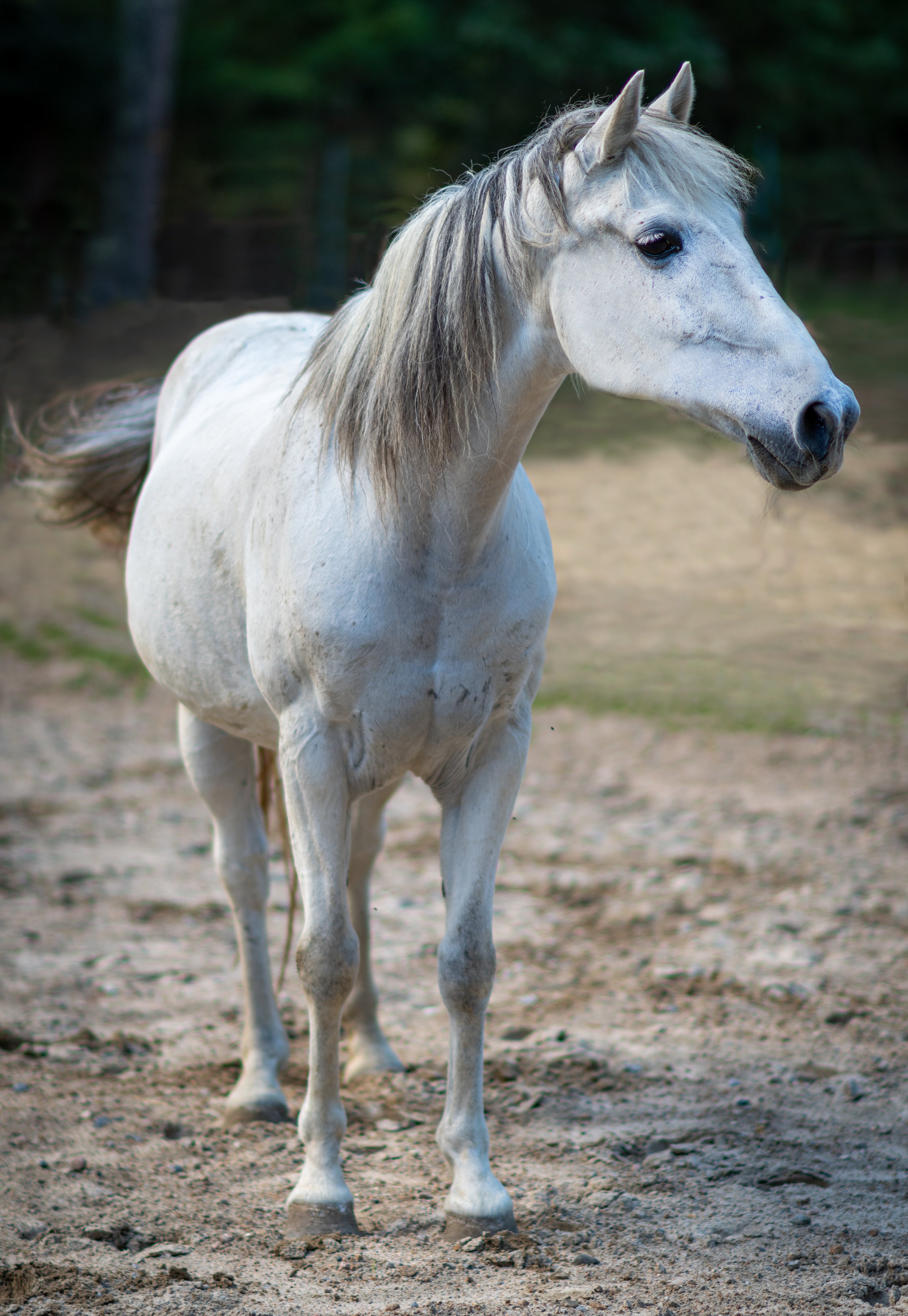 DSC_3497-Edit.jpg