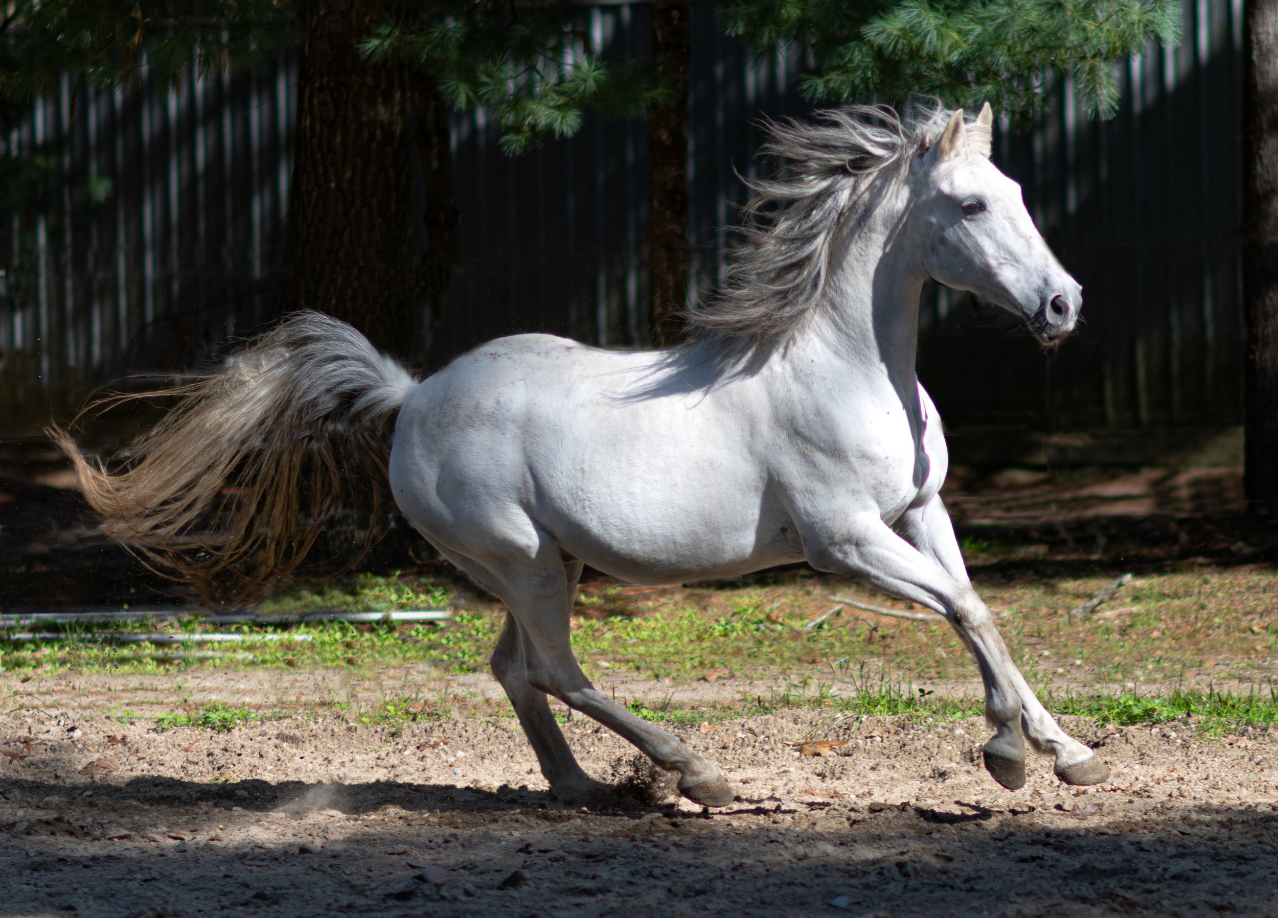 DSC_3428-Edit.jpg
