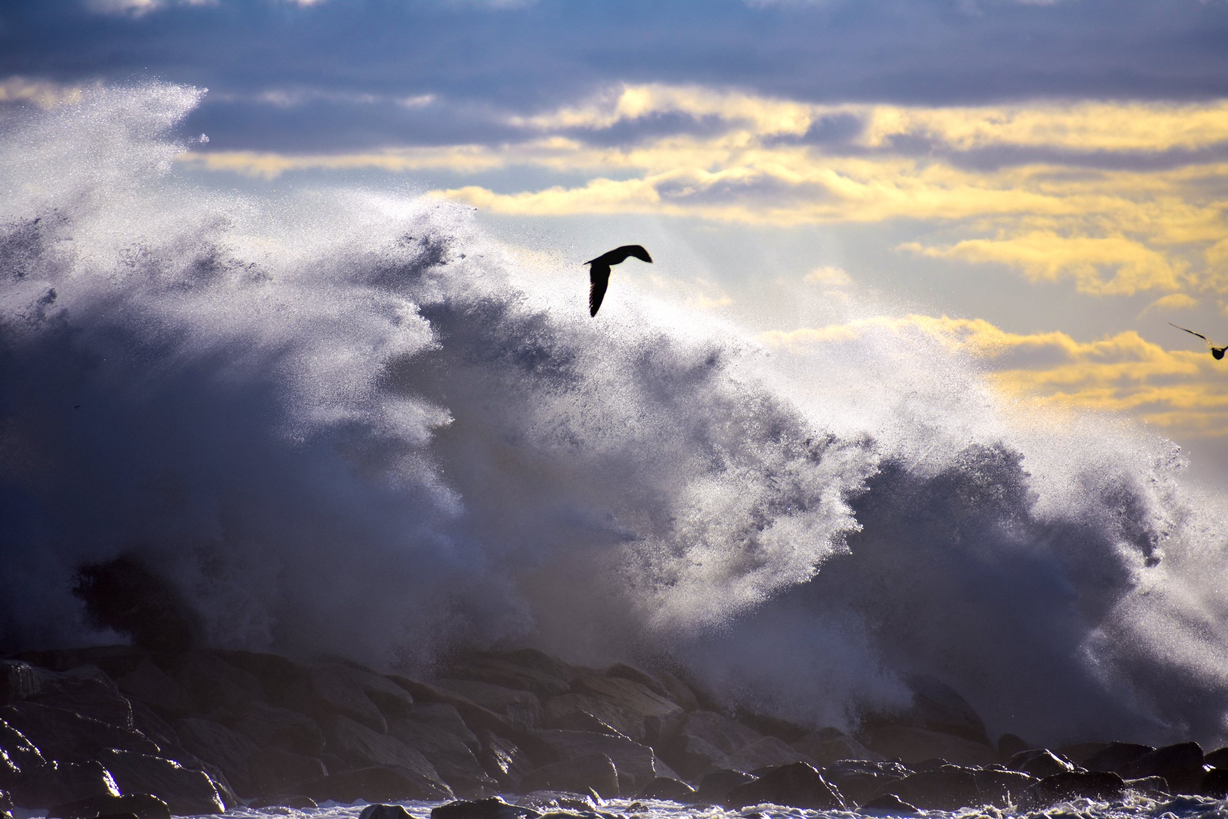 waves 2.jpg