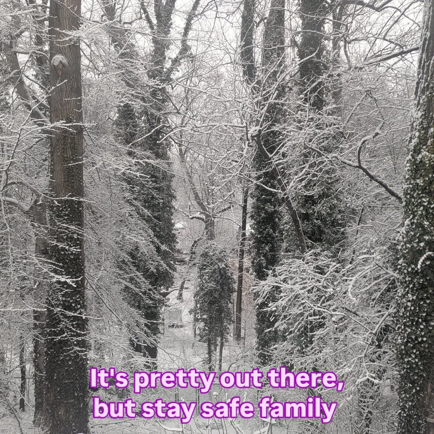 Best to stay inside today and order your tickets for Caesar/Americana.