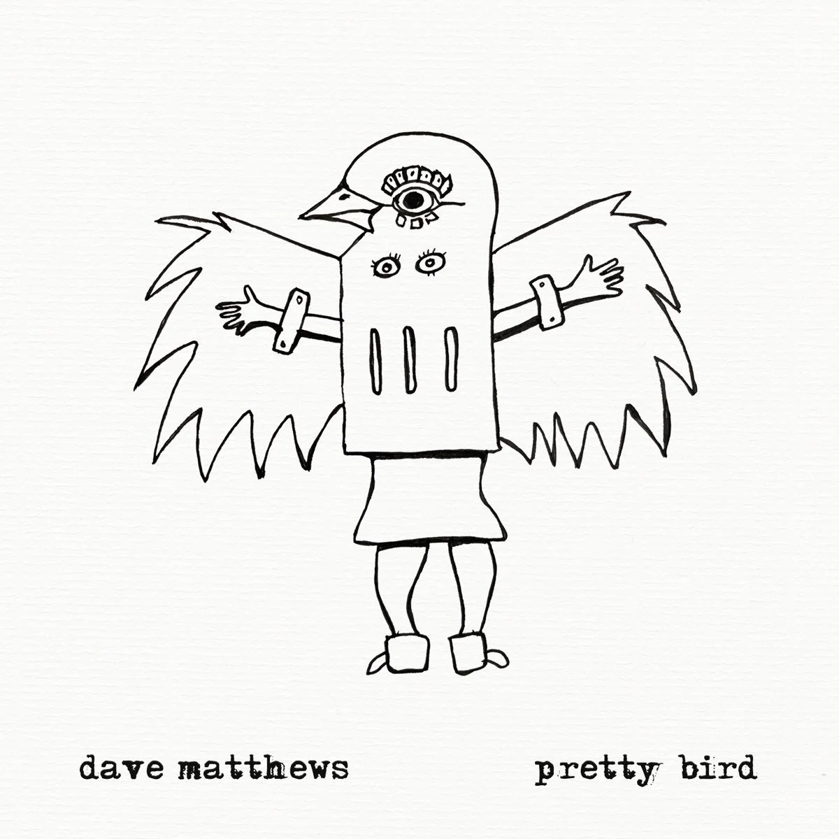 Dave Matthews: Pretty Bird 