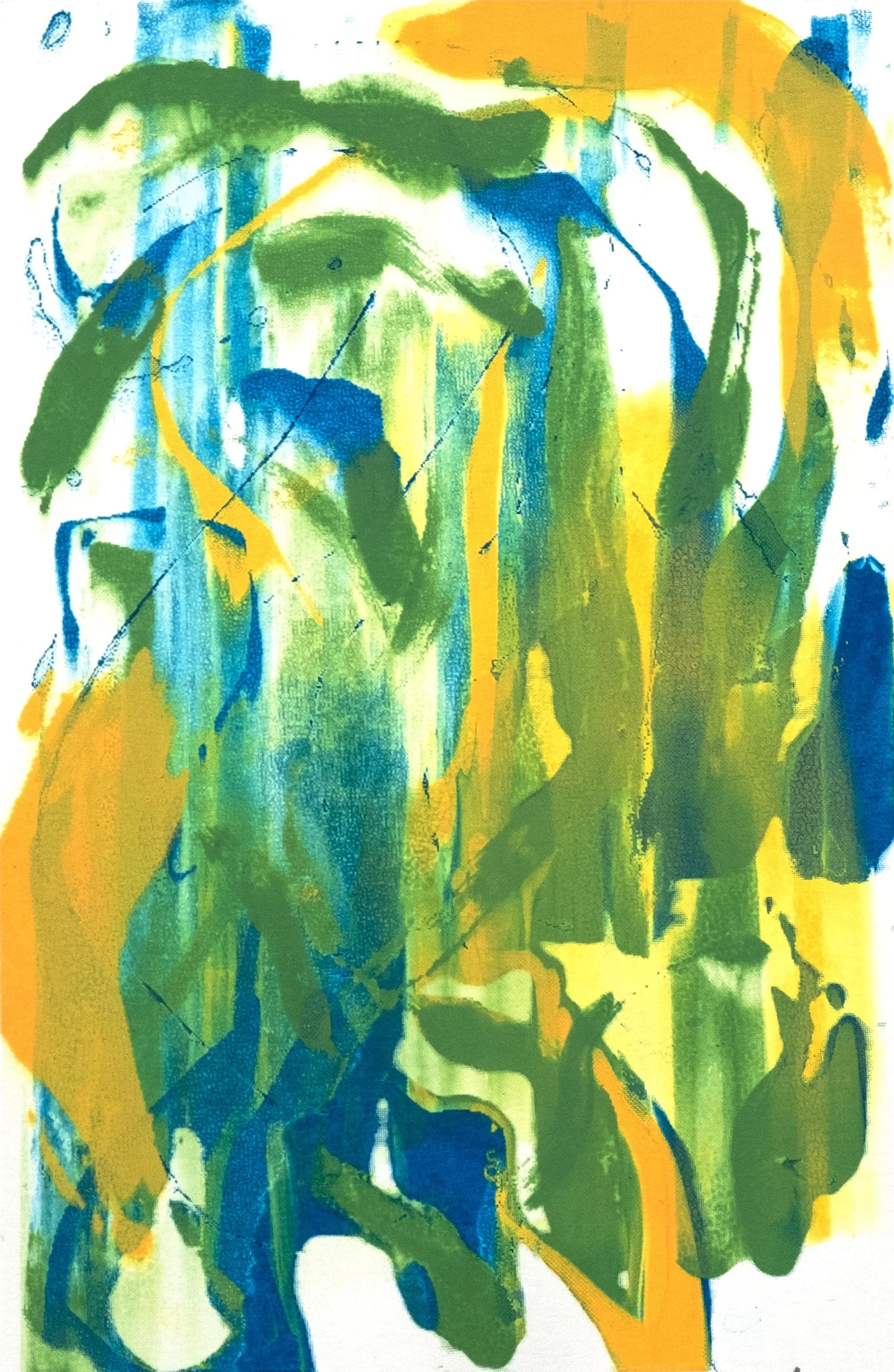 Paradisaea (Birds of Paradise)