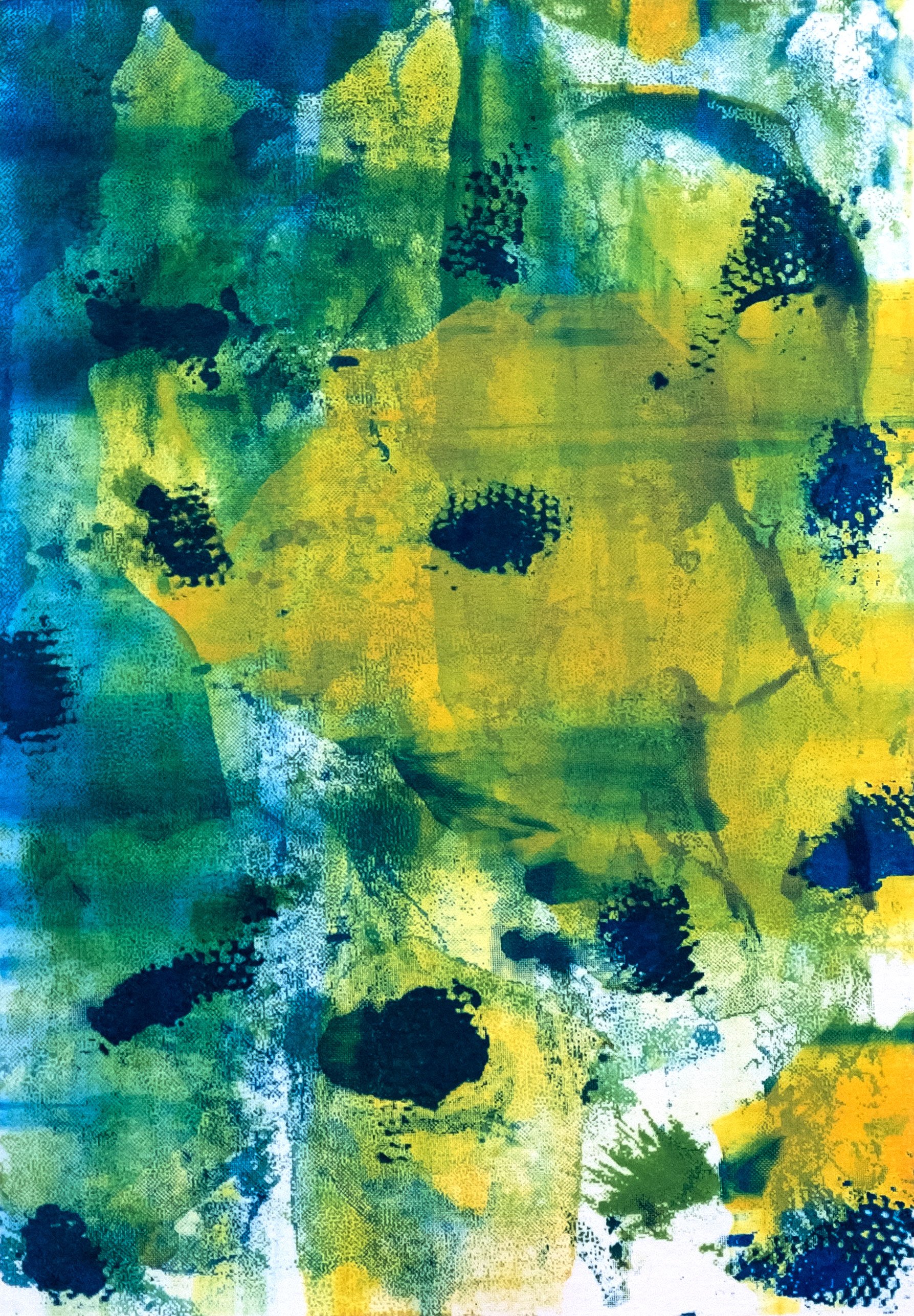 Astrapia (Birds of Paradise)