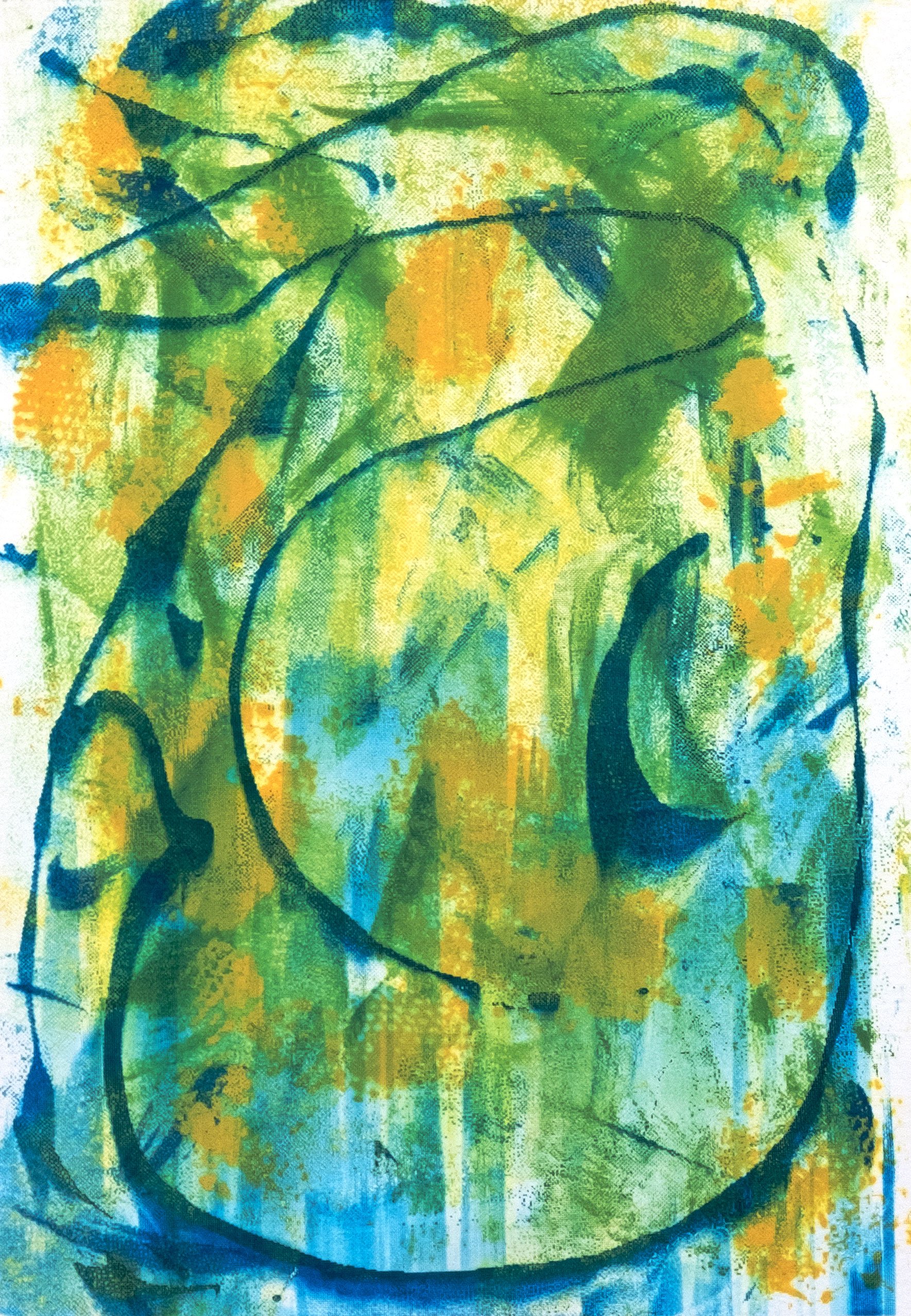 Paradigalla (Birds of Paradise)