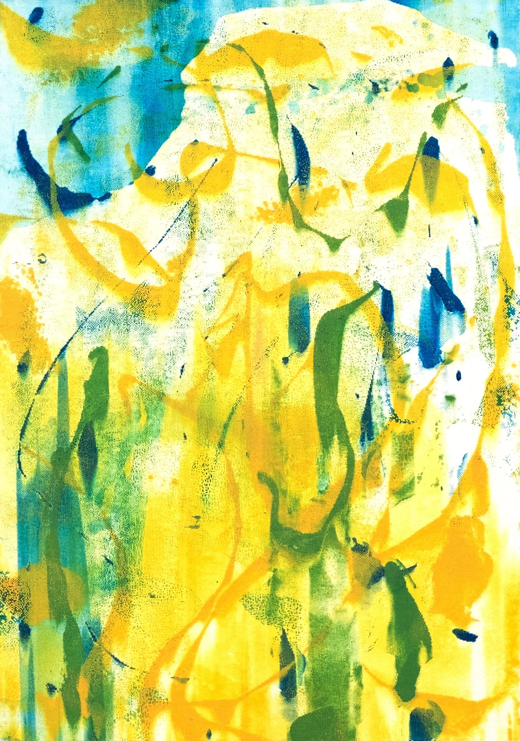 Seleucidis (Birds of Paradise)