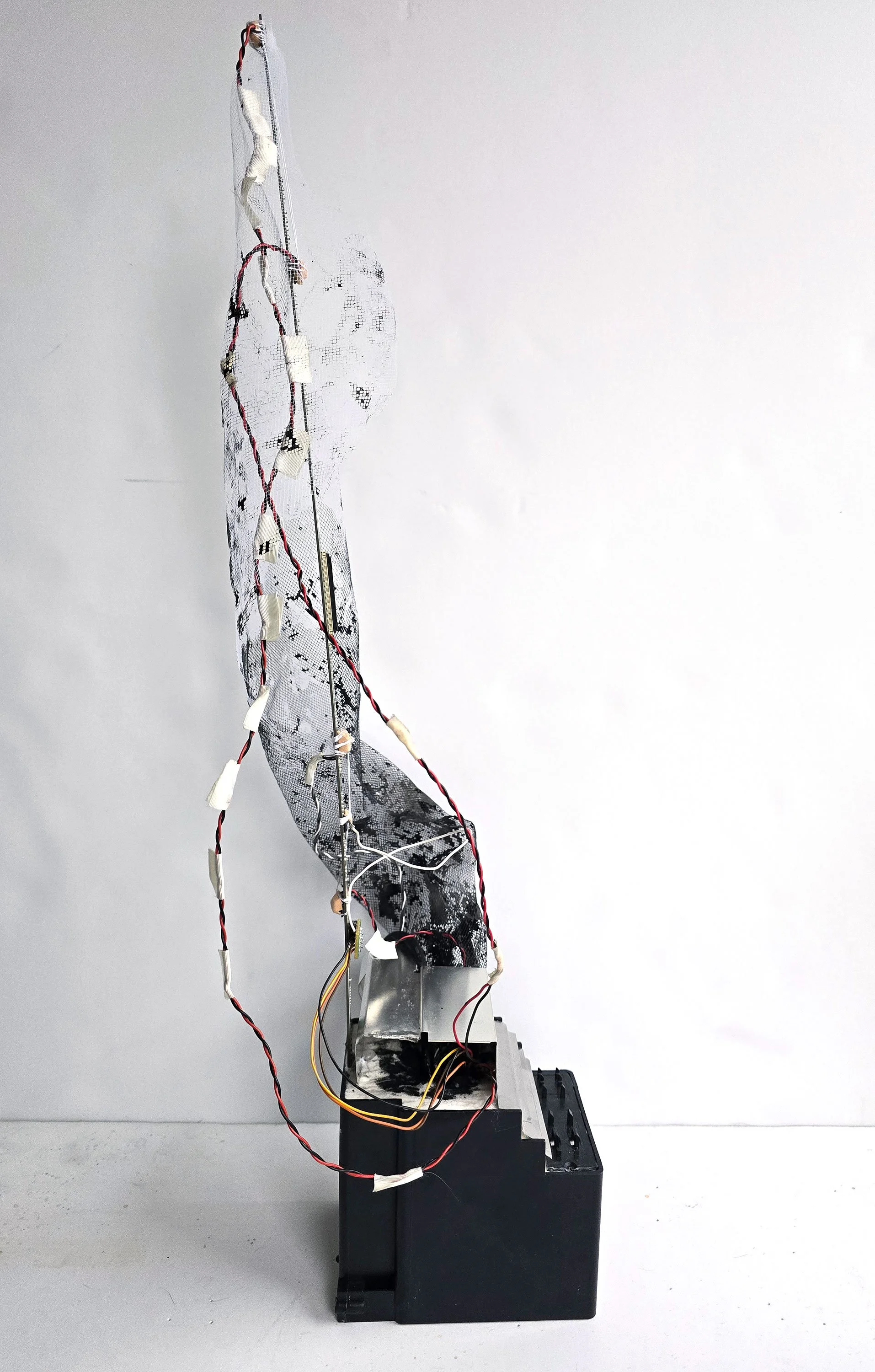 The-Column,-side-view 2024.jpg