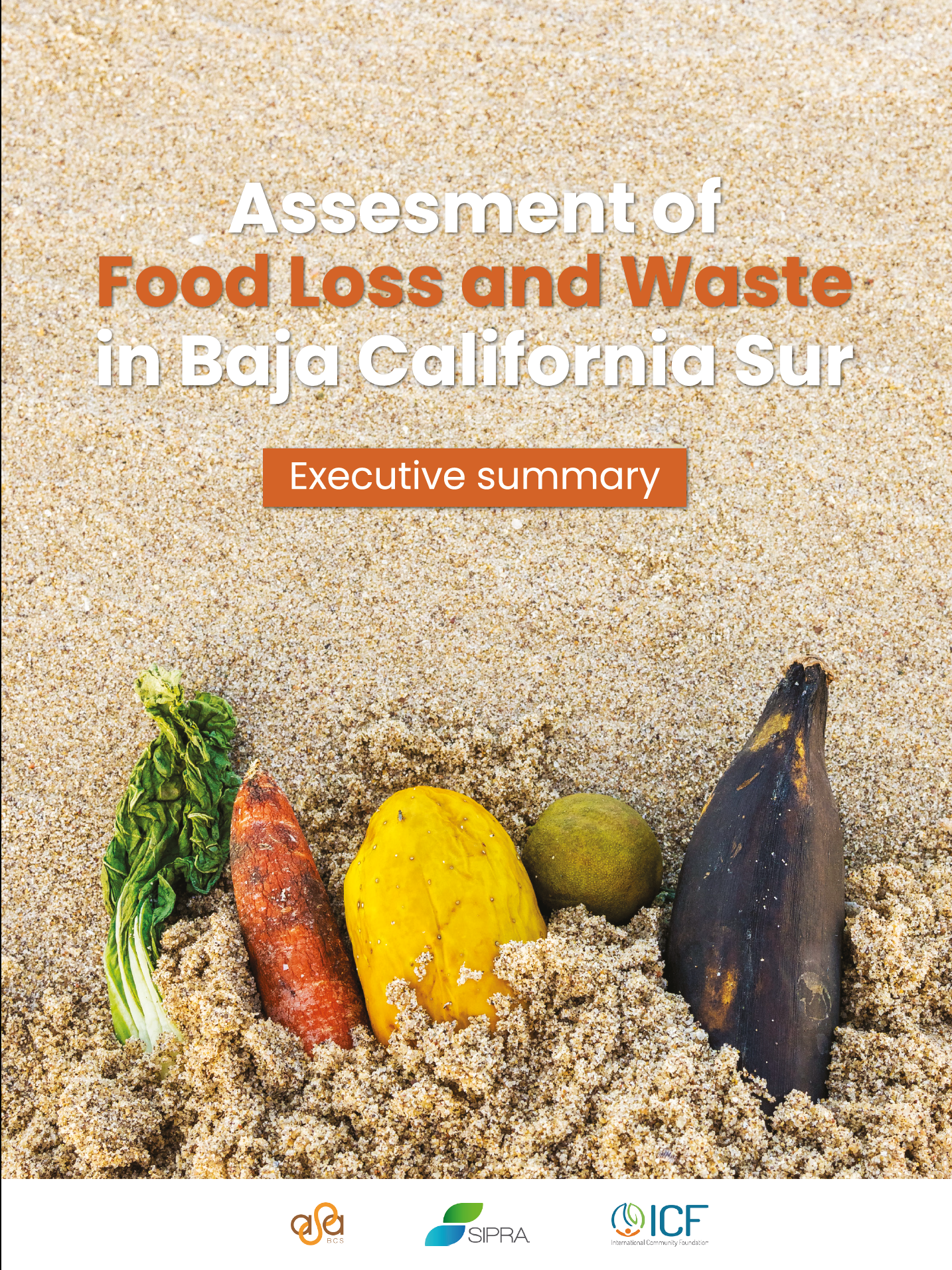 Captura de pantalla 2024-09-04 a la(s) 11.51.55 a.m..png