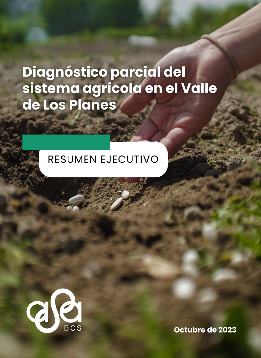 Captura de pantalla 2024-08-20 a la(s) 2.58.28 p.m..png