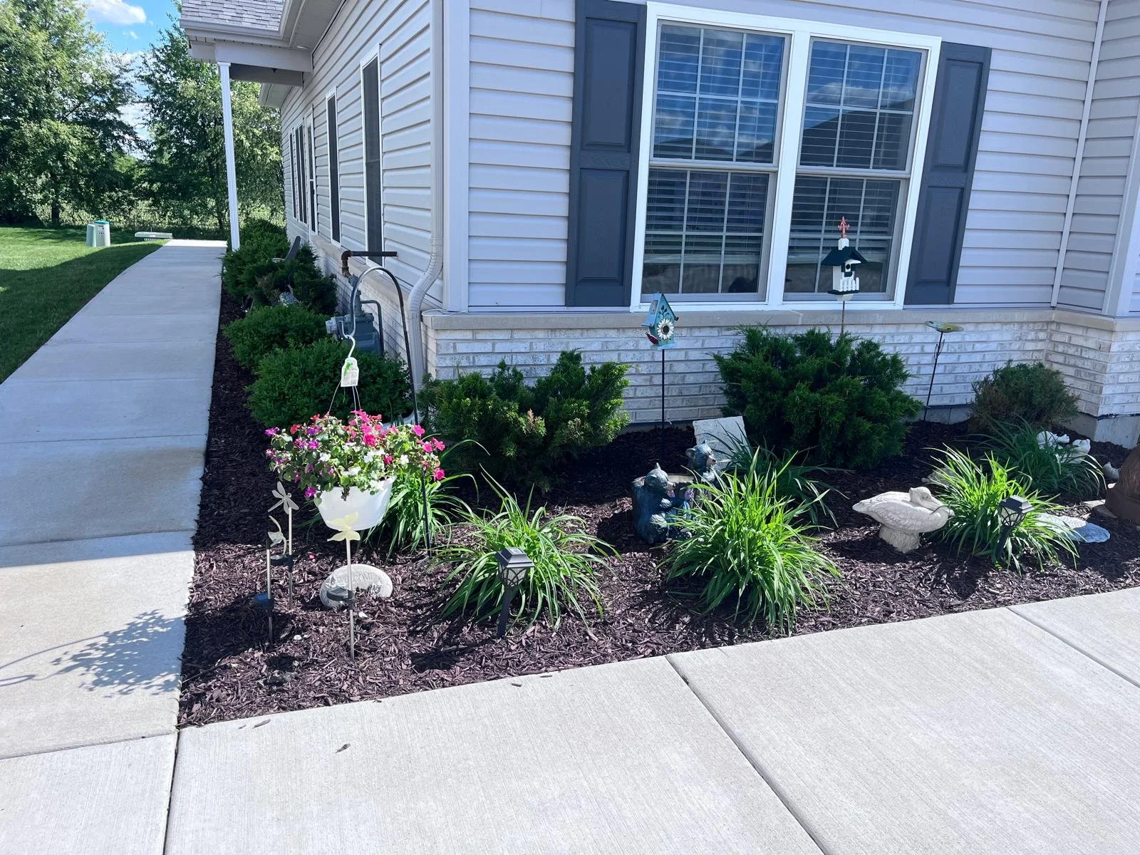 WhatsApp Image 2026-02-11 at 10.52.36 AM.jpeg