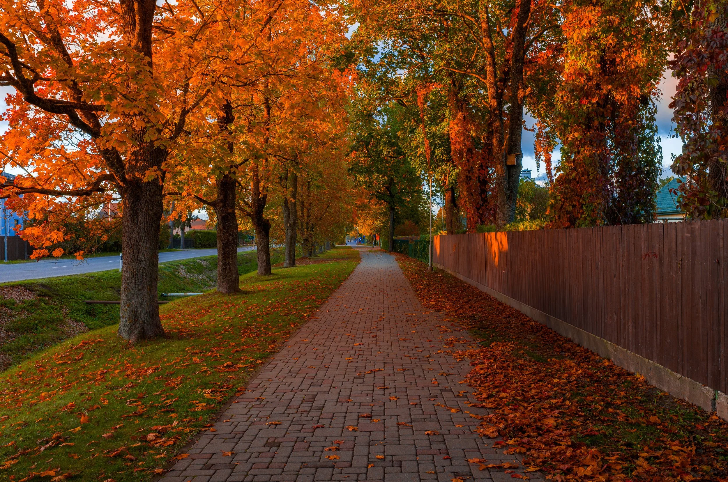 The Best Trees for Yakima's Climate: Thriving in the Arid Landscape