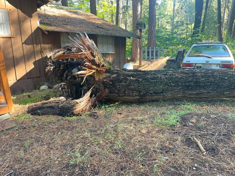 Big R Tree Service LLC