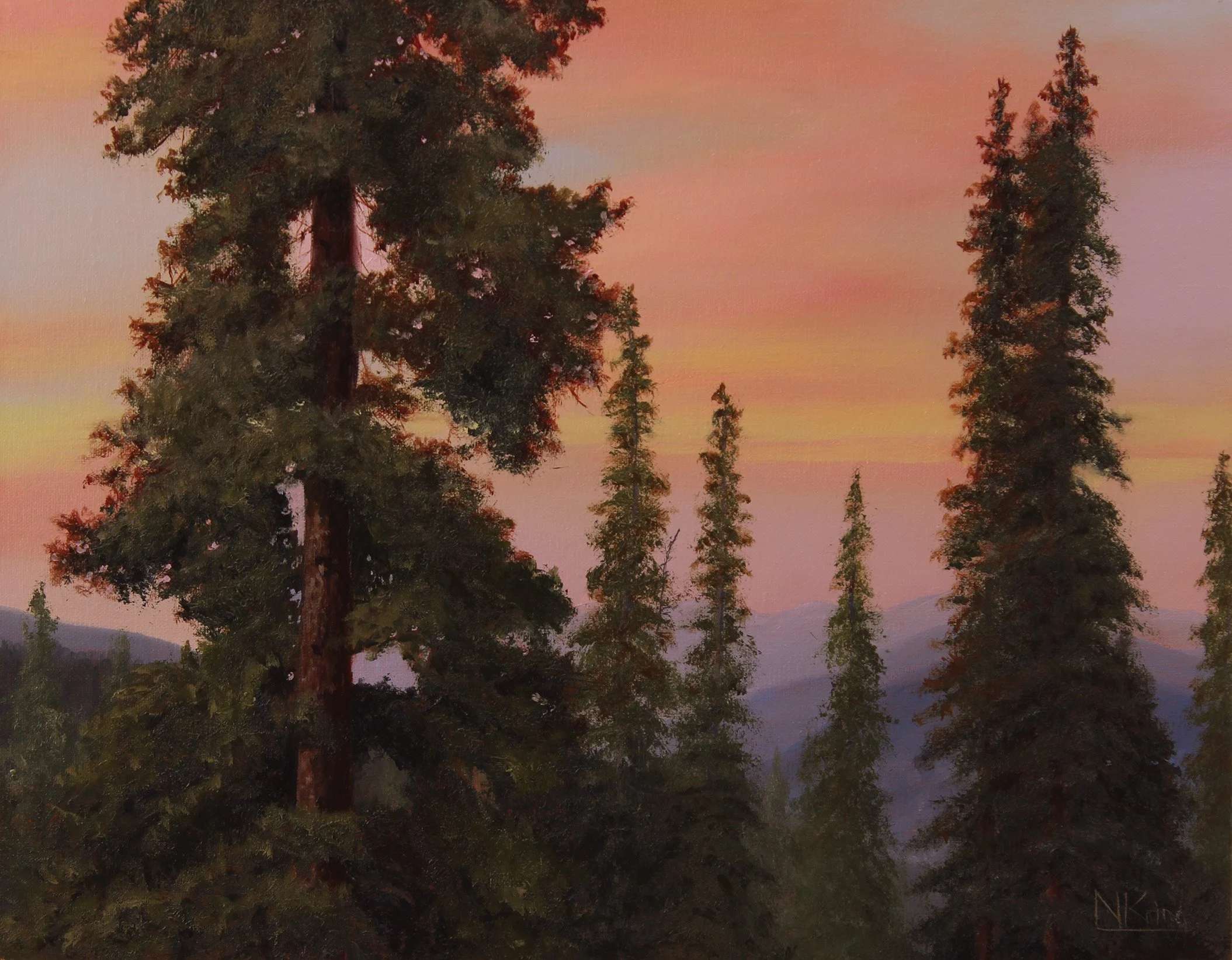 Whispering Pines
11x14 inches
oil on linen
2025