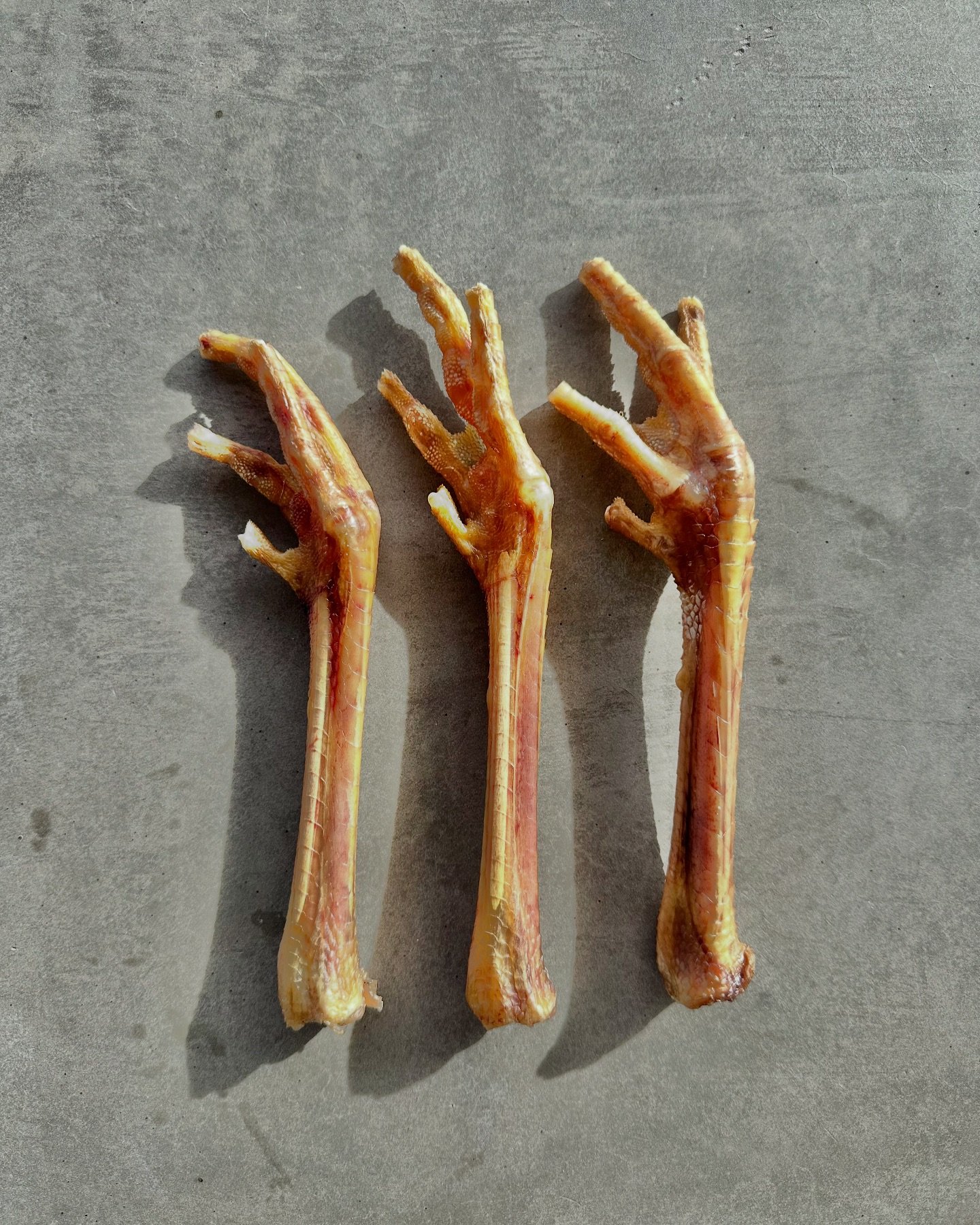 &ldquo;🐾 NEW TREAT ALERT! 🦃 Turkey Feet Chews are here!

Made from pasture-raised turkey, these all-natural chews are packed with glucosamine, chondroitin, and a whole lot of crunchy goodness to keep your pup&rsquo;s tail waggin&rsquo; 🐶

Locally 