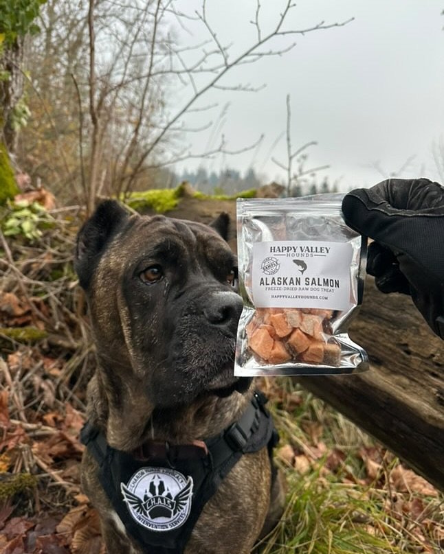 @rogueandreckless knows what she wants&mdash;and today it&rsquo;s our freeze-dried raw Alaskan Sockeye Salmon 🍣 

Slide ➡️ to see her go from curious to all in (literally).

Our salmon treats are packed with protein, omega-3s, and the flavor dogs ca