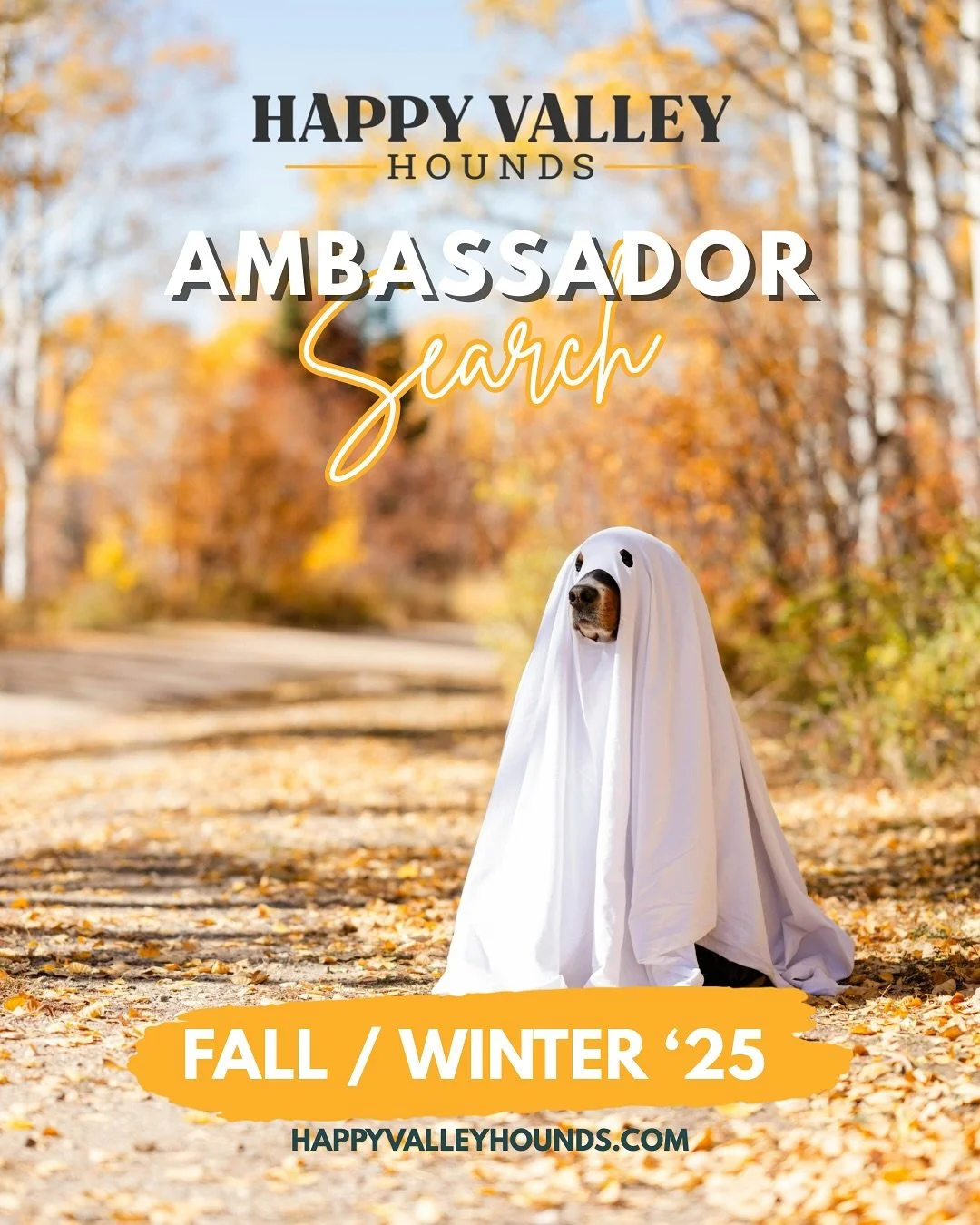 🍂 IT&rsquo;S THAT TIME AGAIN!! 🍂

Fall is almost here, and so is our next Ambassador Rep Search!
We&rsquo;re looking for fresh faces (and wagging tails) to join the Happy Valley Hounds Pack for the new season 🐾✨

Love our farm to bowl treats? Obse