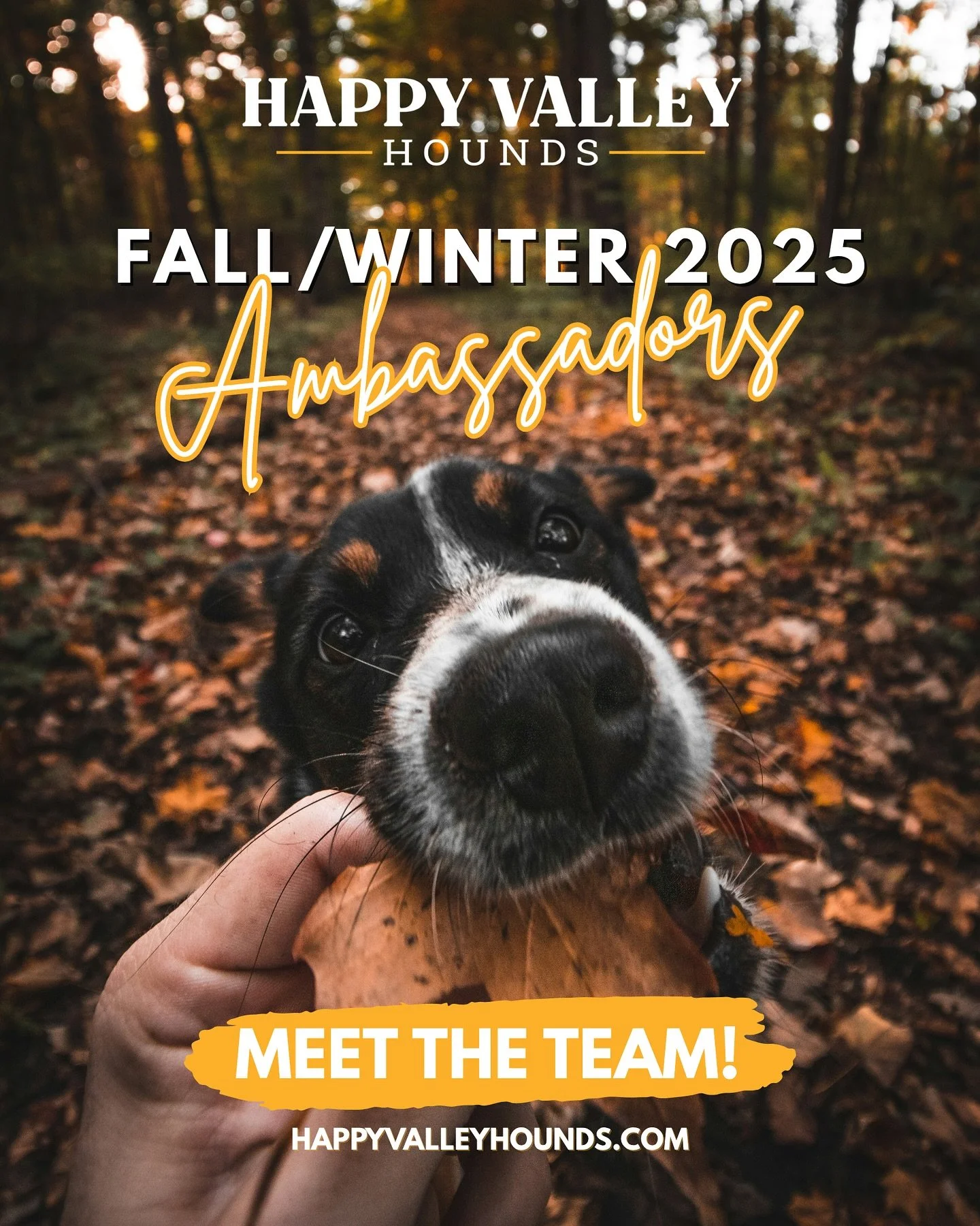 ✨ Meet the Pack! ✨

We can&rsquo;t believe how much love and support we&rsquo;ve received since starting our very first ambassador search this summer. Our Alumni Pack set the bar so high and we&rsquo;re forever grateful for the energy, creativity, an