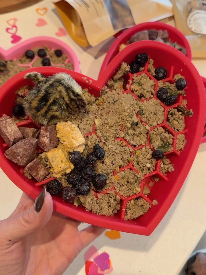 I don&rsquo;t normally put together pretty bowls, but today seemed like a good day to give it a shot 💘😆 Happy Valentine&rsquo;s Day friends! 🫶

Featured items:
* Tags from @splootnco 
* Bowls &amp; Bows from @woodlesandco 
* Freeze-dried baby quai