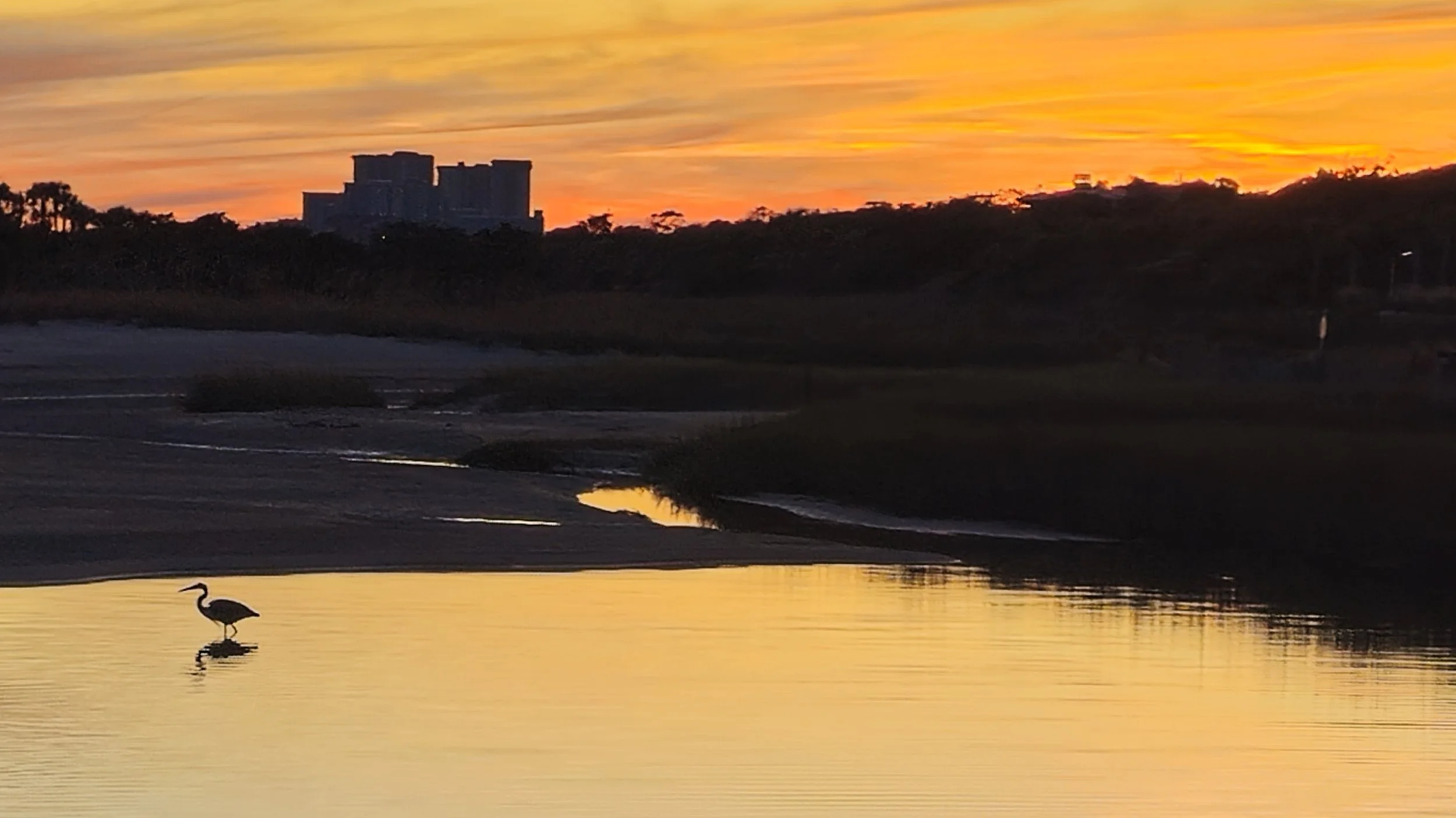 Heron wading in the Ocean Creek swash at sunset, North Myrtle Beach