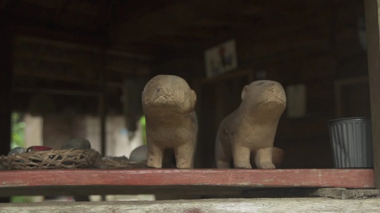 Apoyo al emprendimiento shallipo