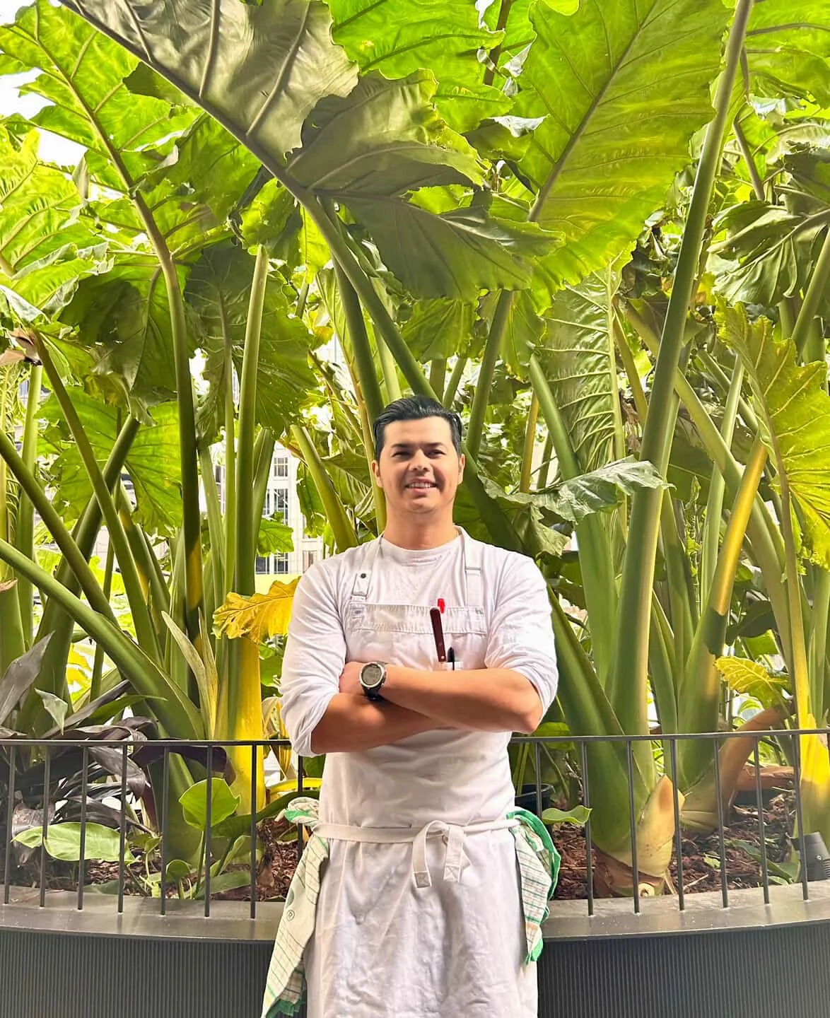 Chef Aldo.jpeg