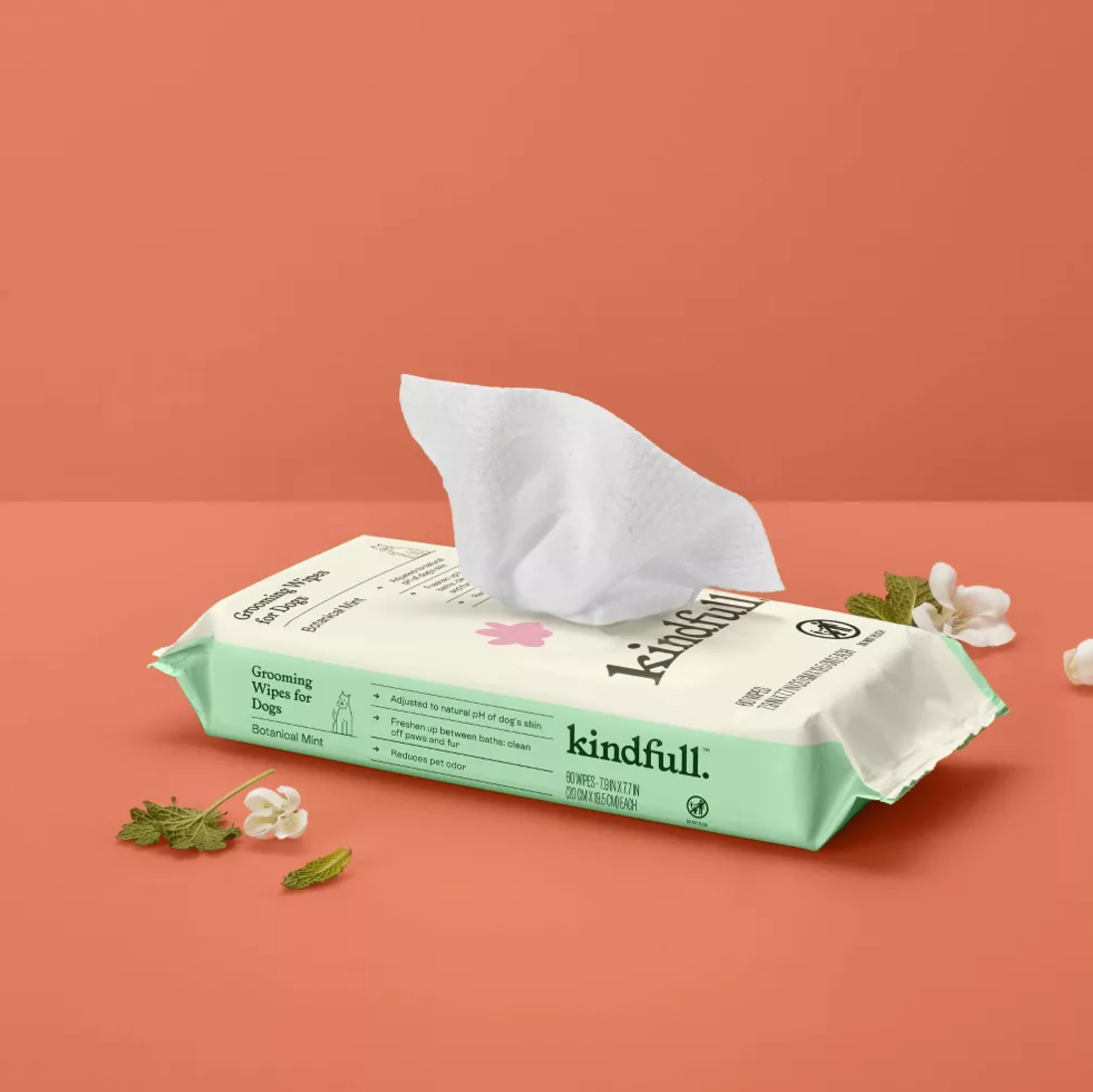 4Pack Hair Scalp Exfoliator Brush