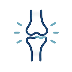 Illustration of a human knee joint, showing bones, cartilage, and surrounding tissues.