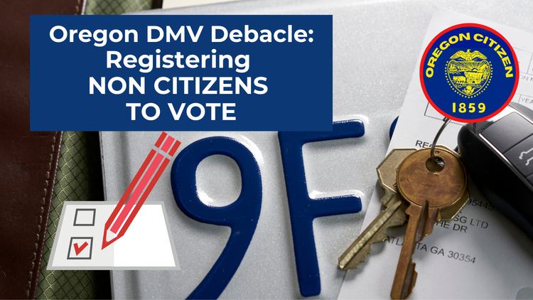 License To Scandal: The Mika Kleinschmidt DMV Debacle That Left The Public Speechless