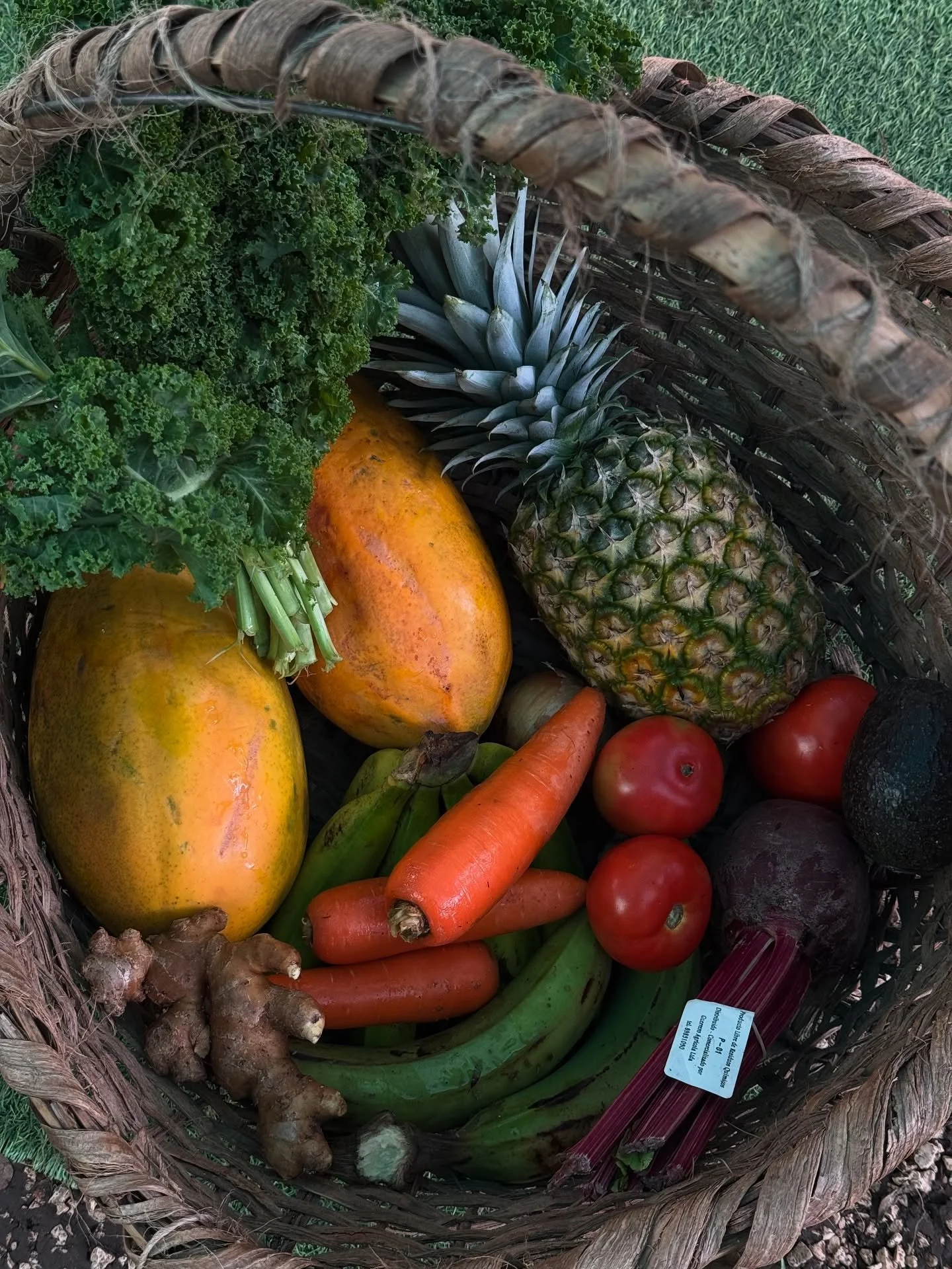 Food for thought: Can the mystery of life enter if you don&rsquo;t give it the space?

The more I soften, the more I allow &mdash; the more life finds me. Blessings come rushing in when I stop gripping so tightly, when I let go of rigidity, when I da