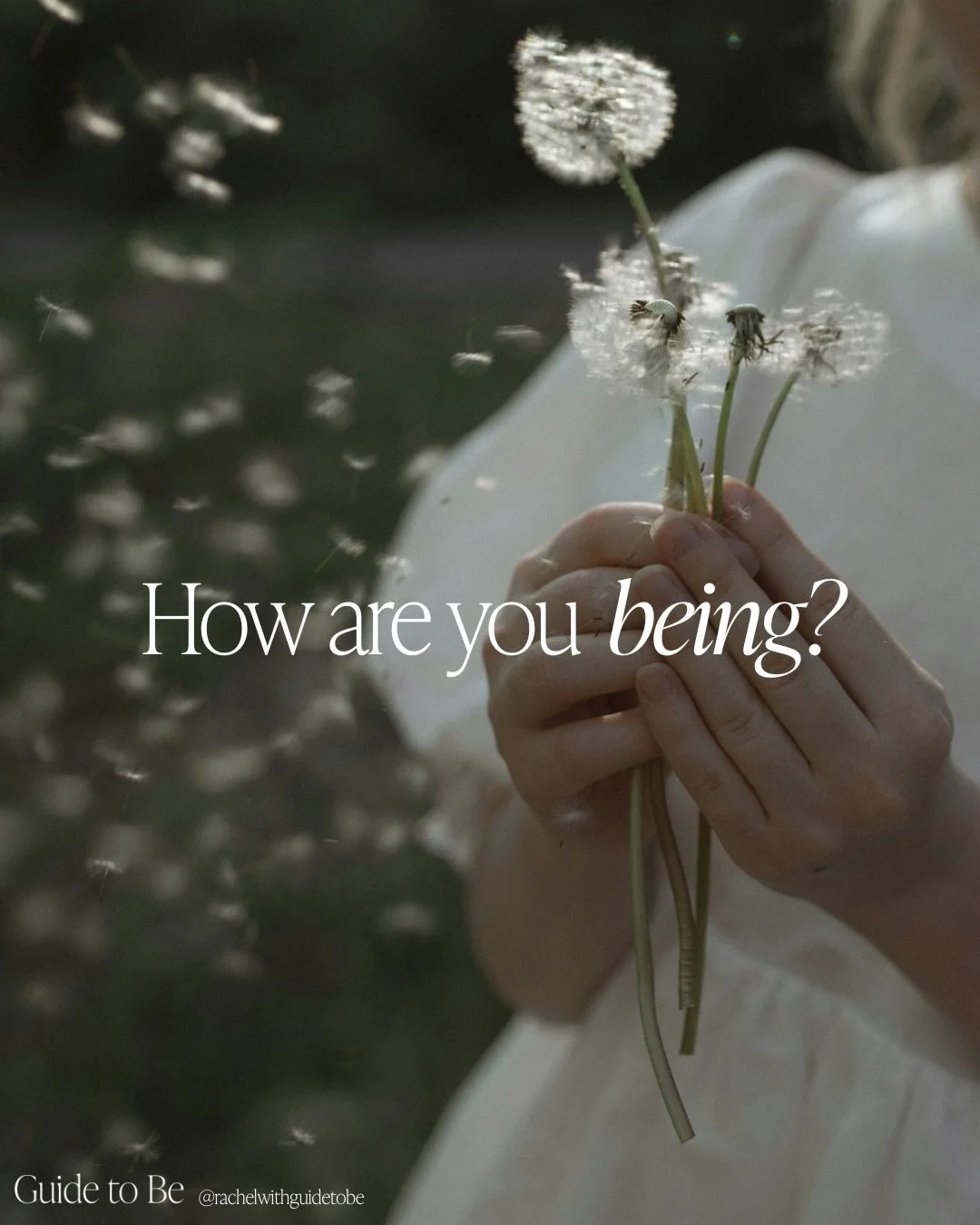what if we started changing the question?

what if our language truly brought us into deeper connection?

what if we stopped shying away and started turning towards? 

what if we valued being over doing &mdash; and celebrated that in all those around