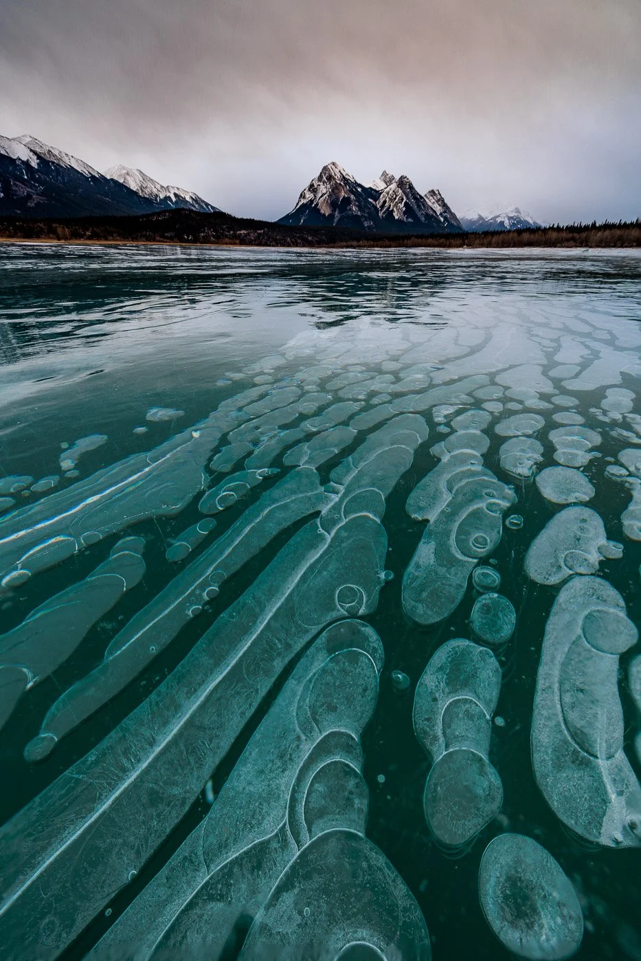 Methane ice bubbles in green ice Abraham Lake Canada
