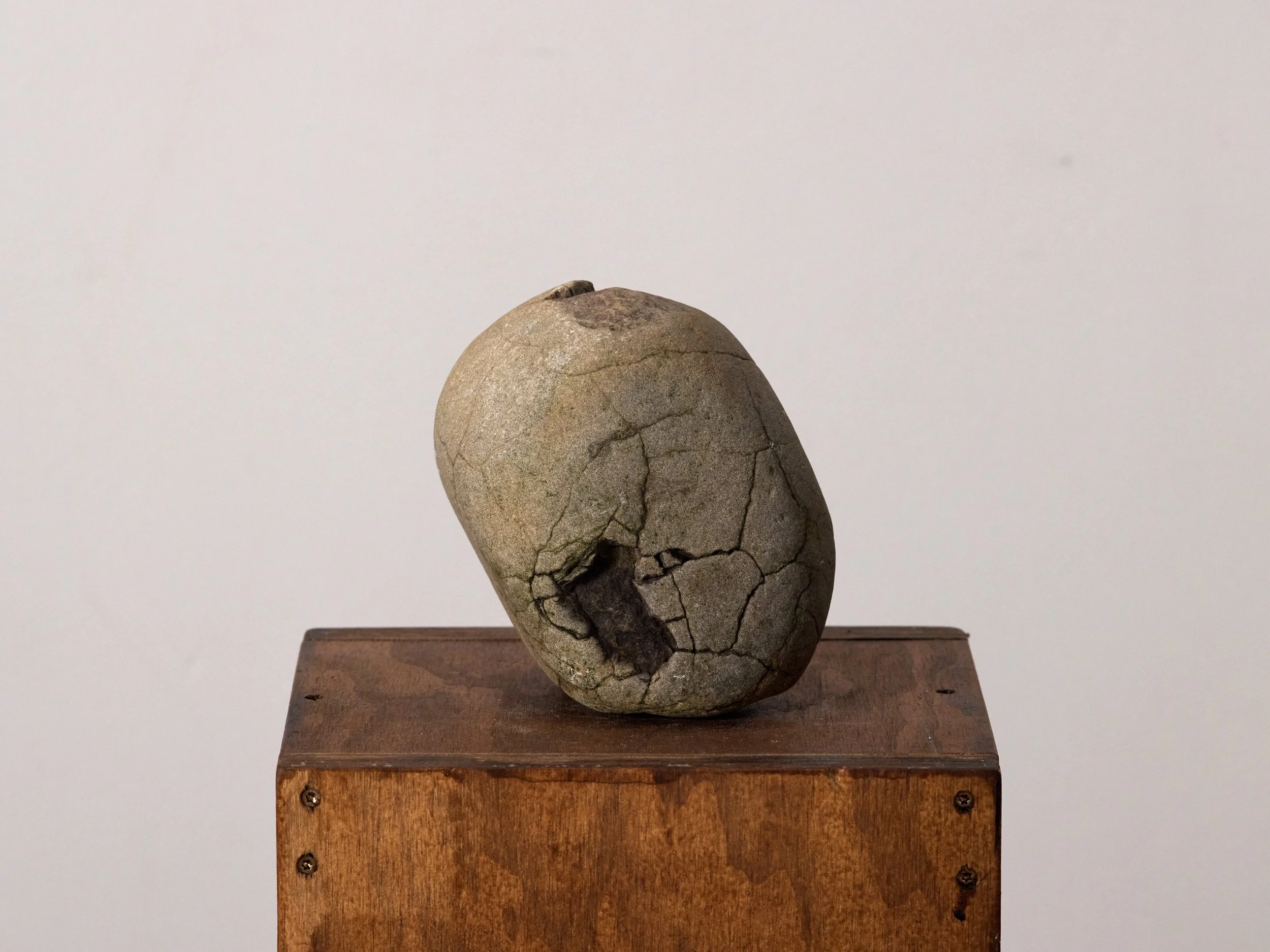 RockCollection_051.jpg