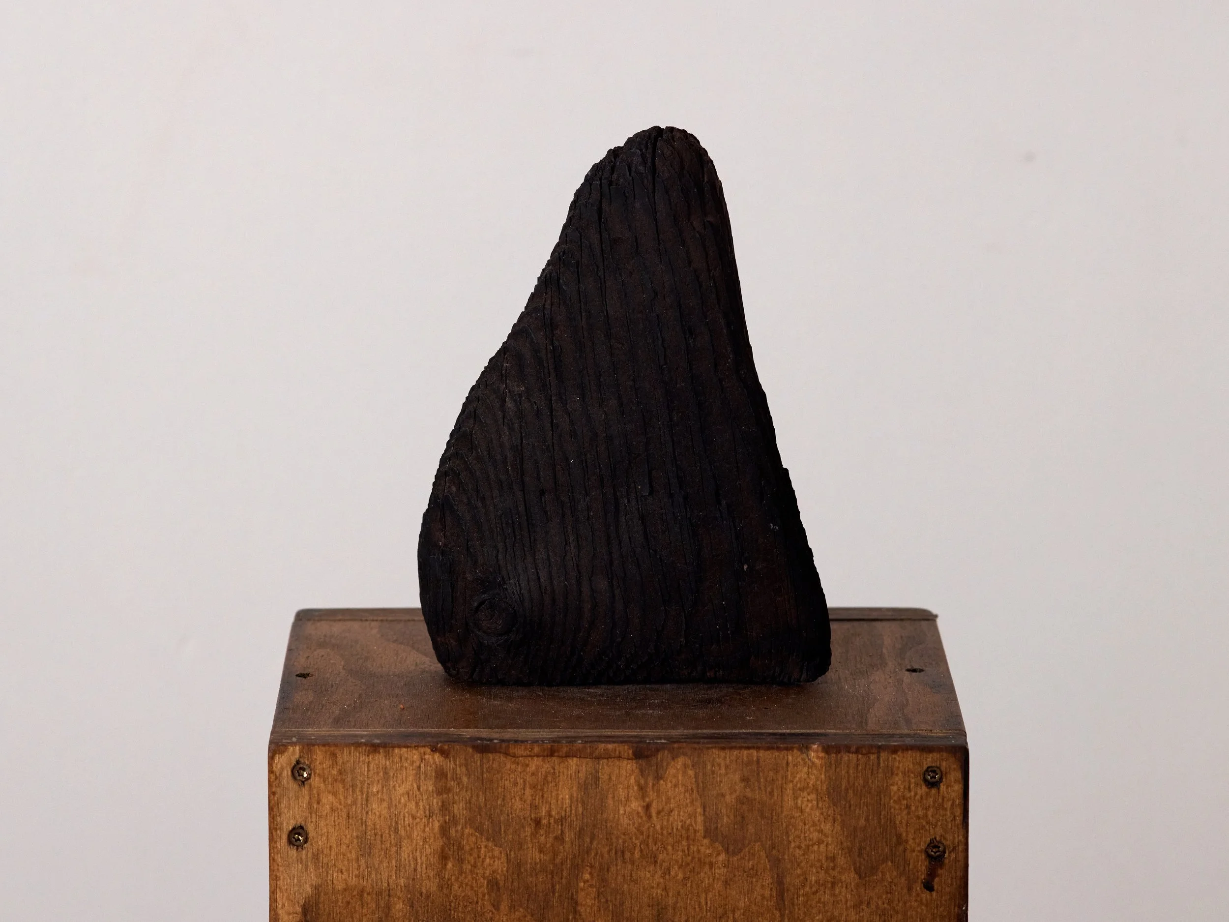 RockCollection_071.jpg