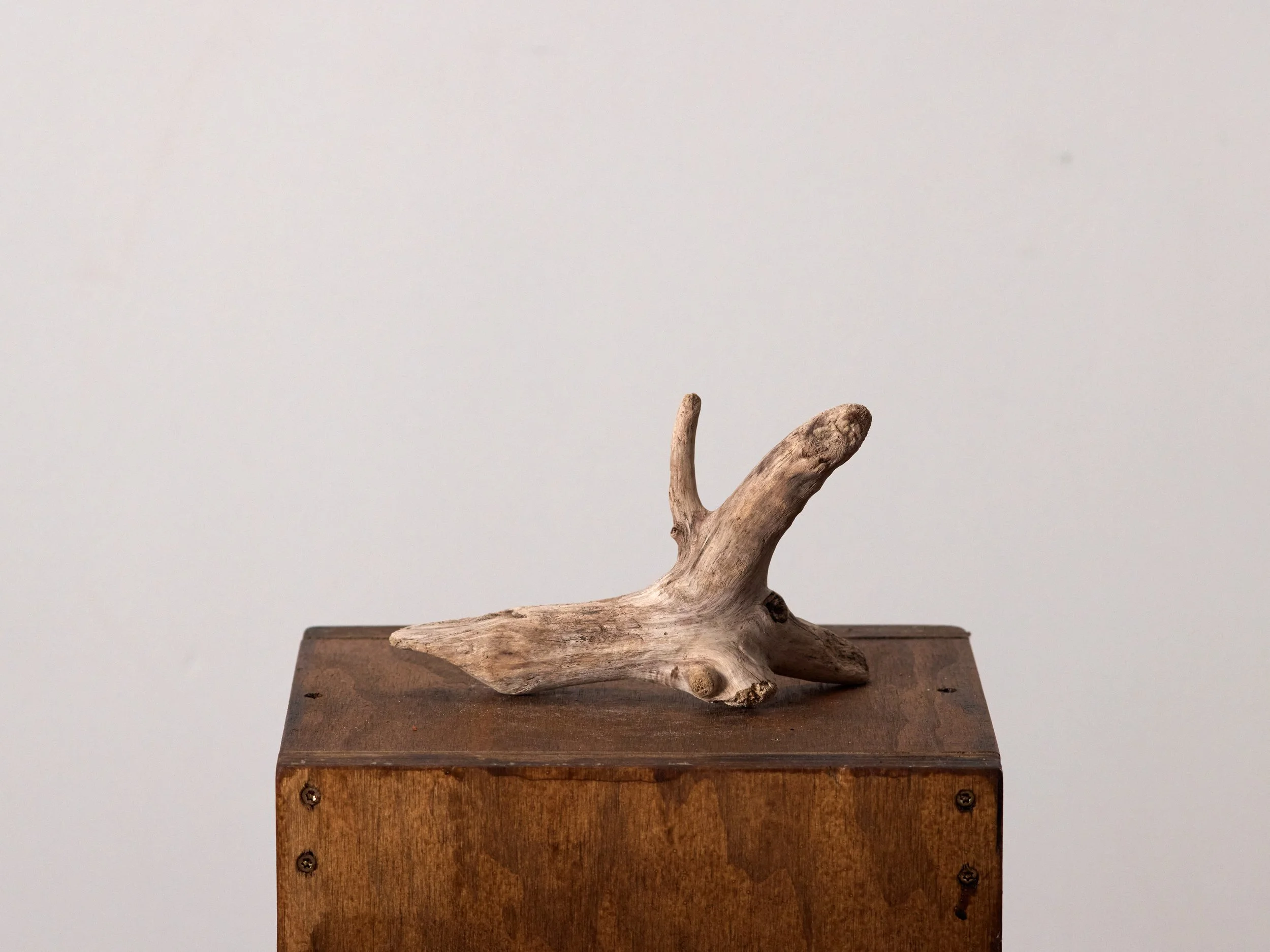 RockCollection_074.jpg